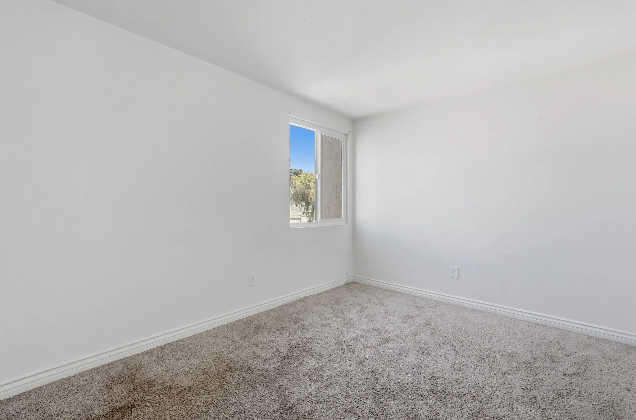 Photo #18: 260008262 Listing: Photo #18