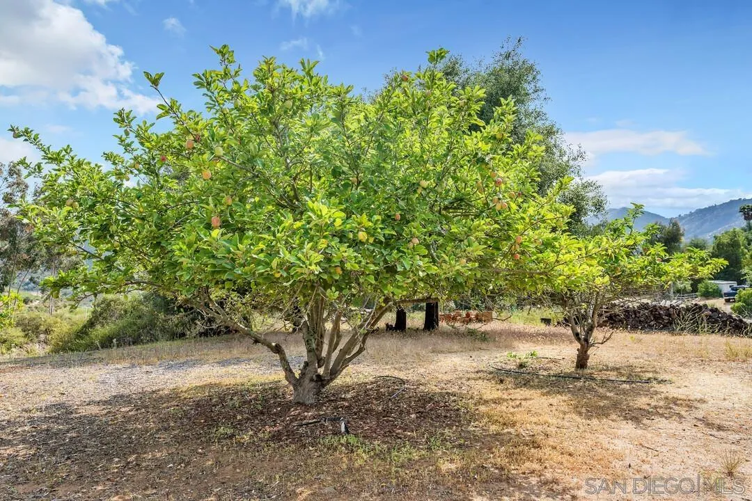 https://cdn.realtyfeed.com/cdn/127/260008371/138a9b3215c27168b44265eb9c8522b7.webp
