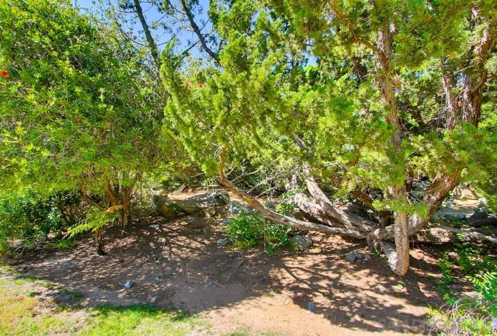 https://cdn.realtyfeed.com/cdn/127/260008452/547805bc08c15aa15eb6048d2b4f4128.webp