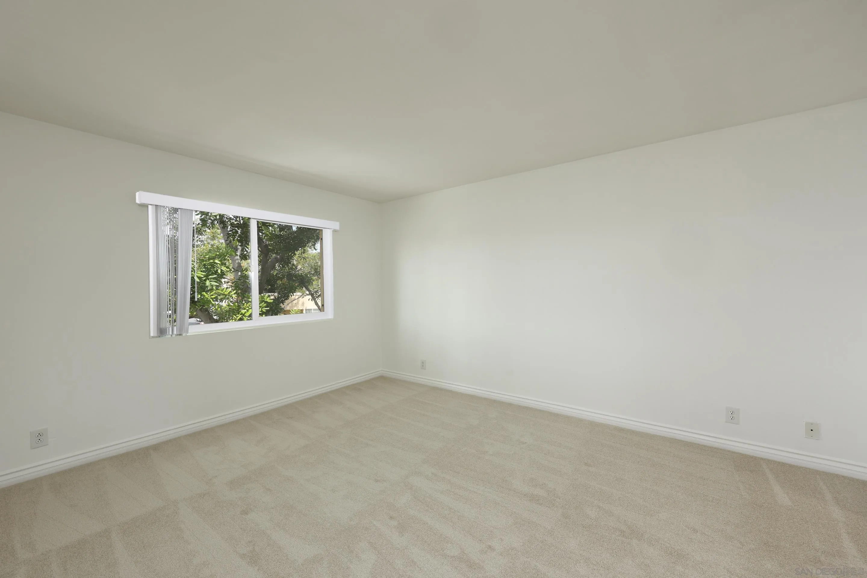Photo #22: 260008544 Listing: Photo #22