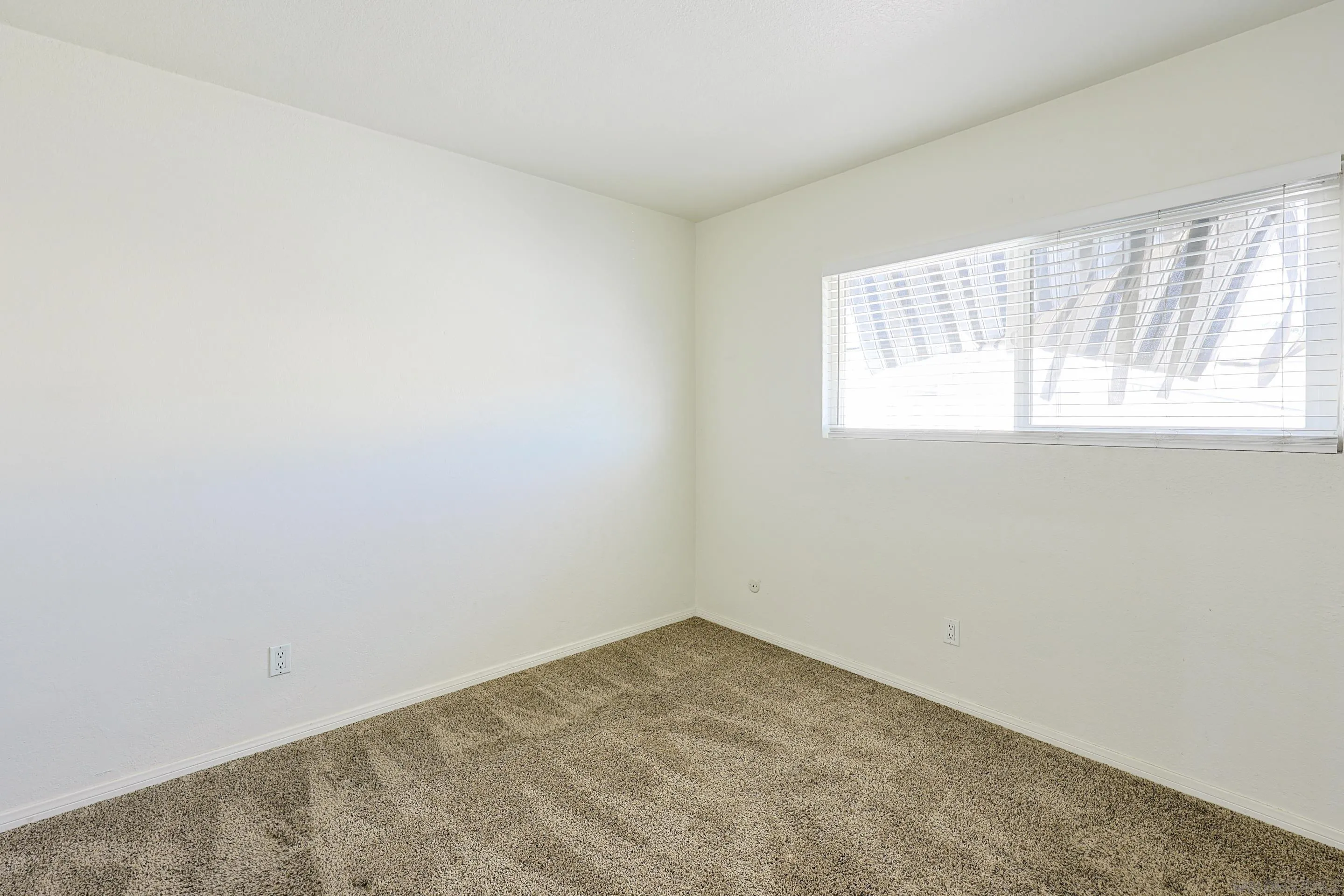 Photo #23: 260008562 Listing: Photo #23