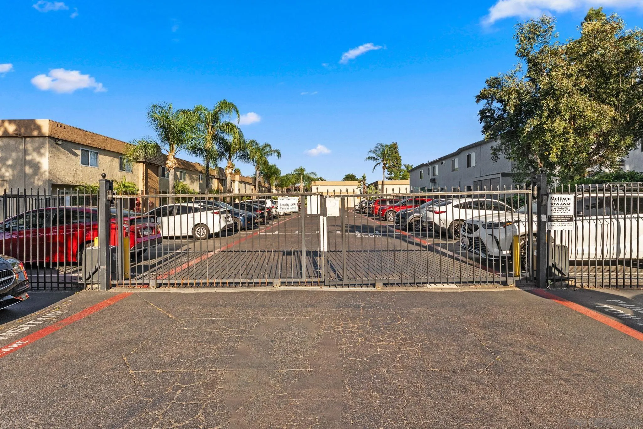 Photo #2: 260008565 Listing: Photo #2