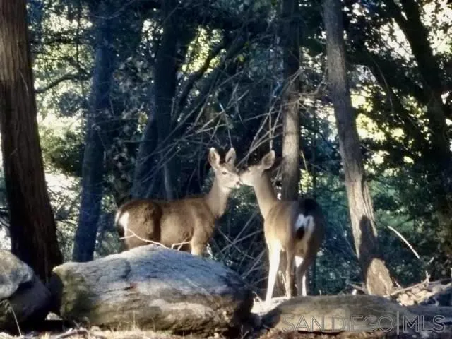 https://cdn.realtyfeed.com/cdn/127/260008626/b342dfbd18c31f2f7b689ea15803ba86.webp