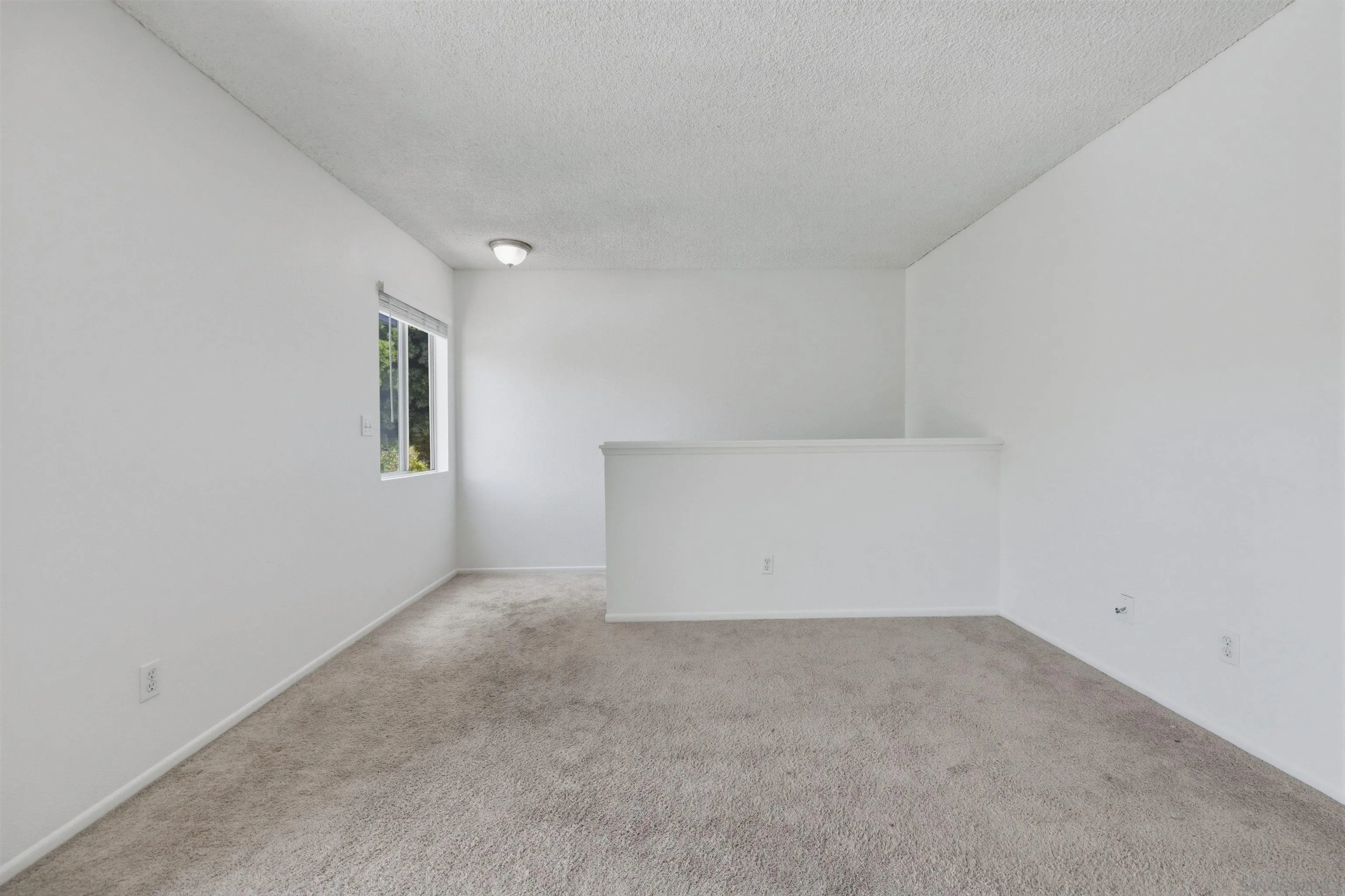 Photo #6: 260008770 Listing: Photo #6