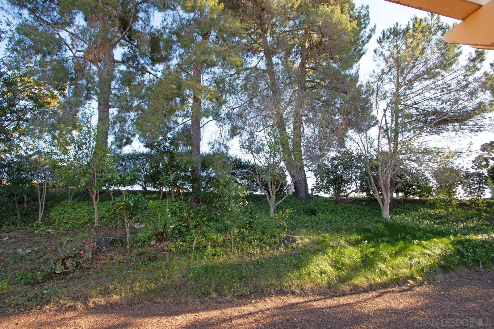 Photo #25: 260008928 Listing: Photo #25