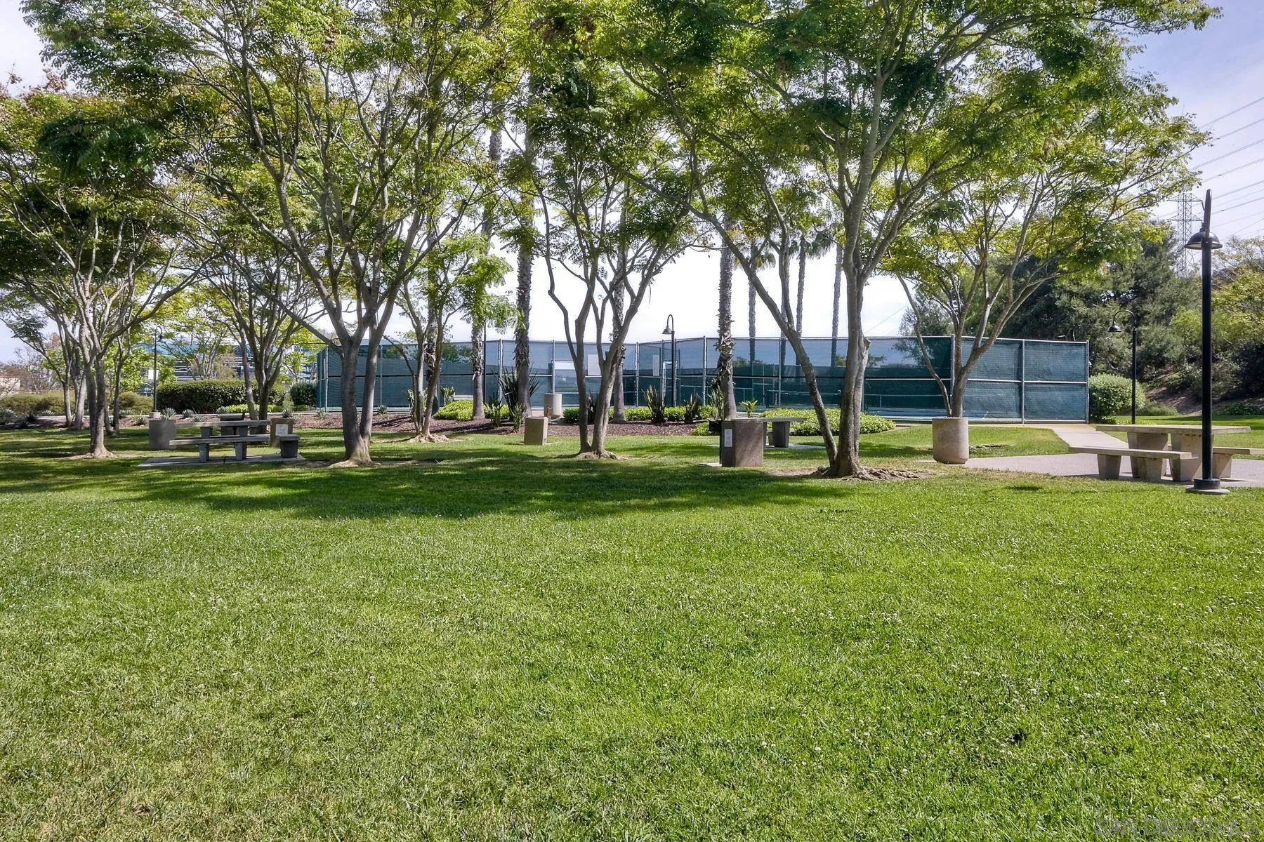 Photo #27: 260009243 Listing: Photo #27
