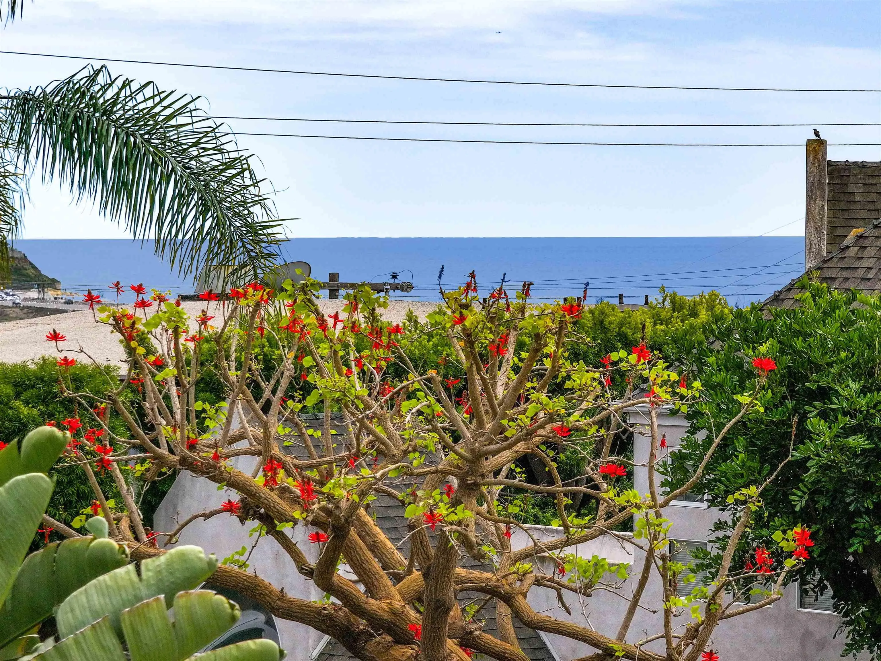 https://cdn.realtyfeed.com/cdn/127/260009270/912b03950b6f914879361fa17fde4513.webp