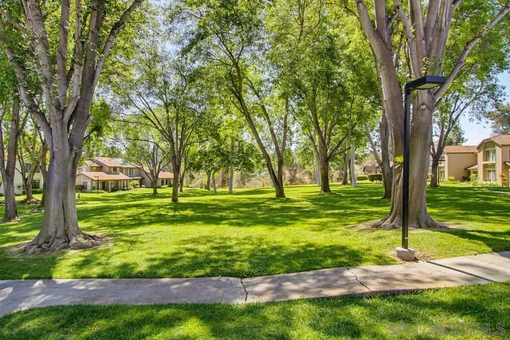 Photo #37: 260009447 Listing: Photo #37