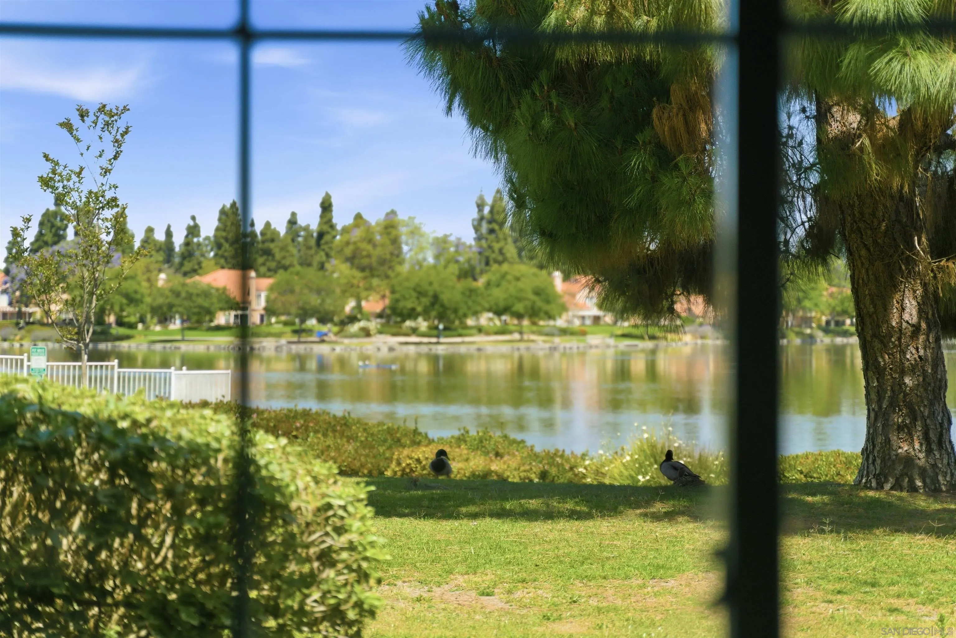 Photo #21: 260009473 Listing: Photo #21