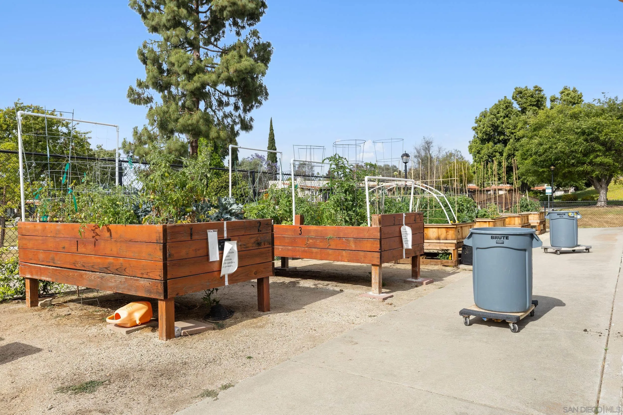 Photo #28: 260009517 Listing: Photo #28