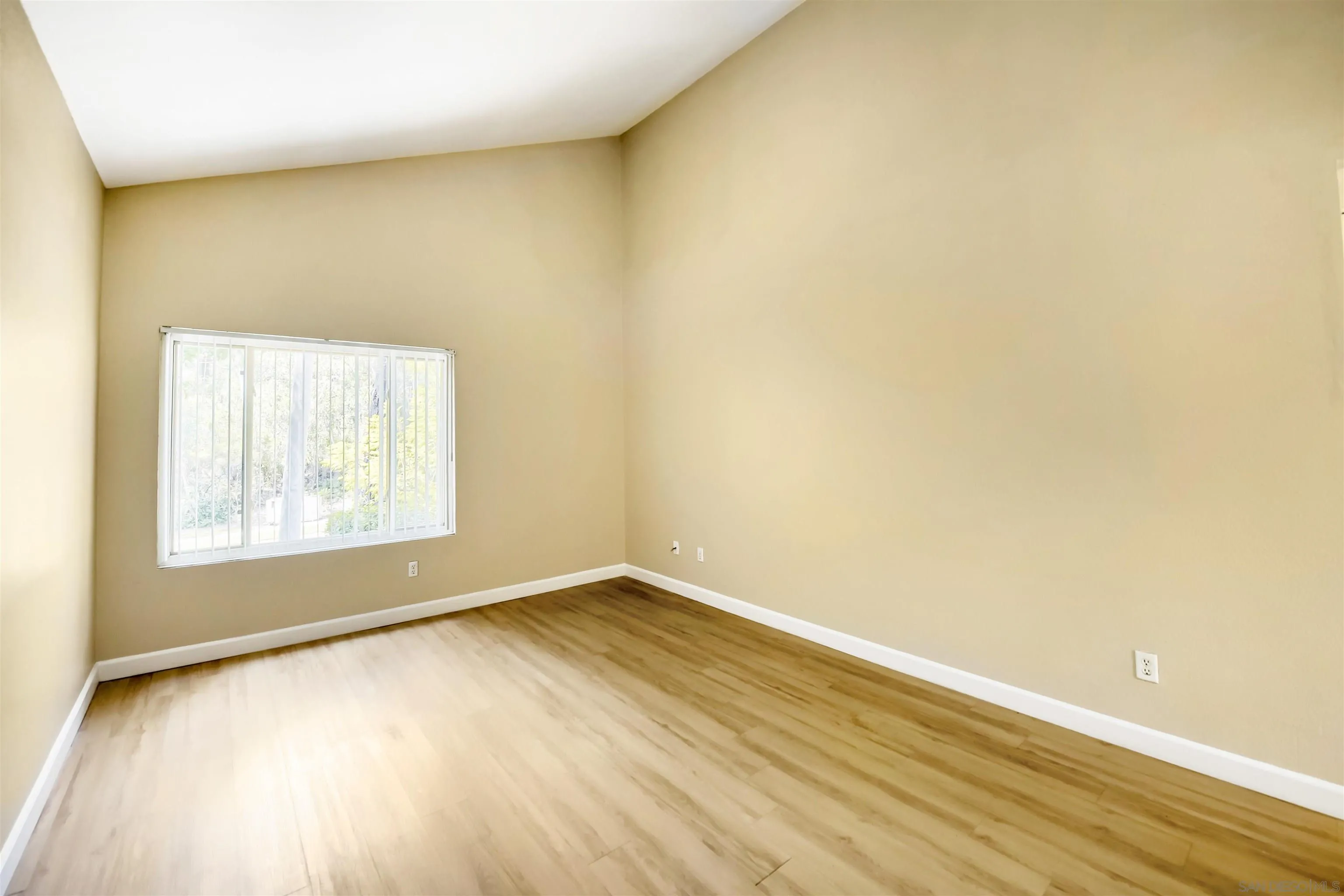 Photo #5: 260009545 Listing: Photo #5