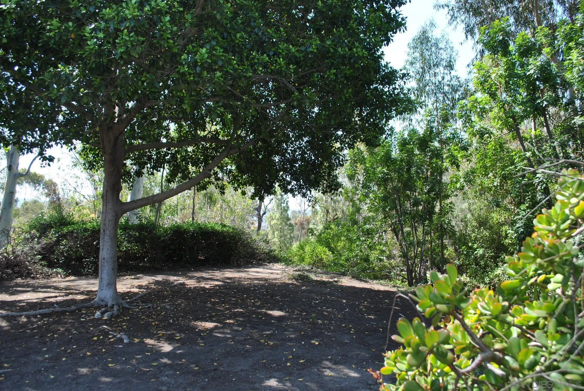 Photo #28: 260009545 Listing: Photo #28