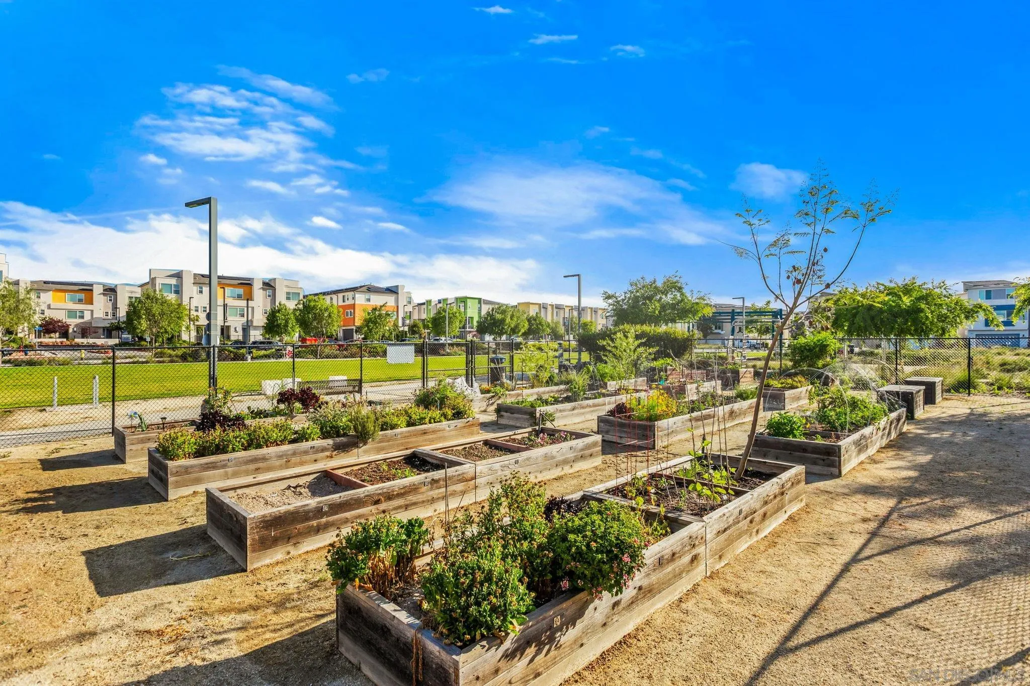 Photo #32: 260009668 Listing: Photo #32