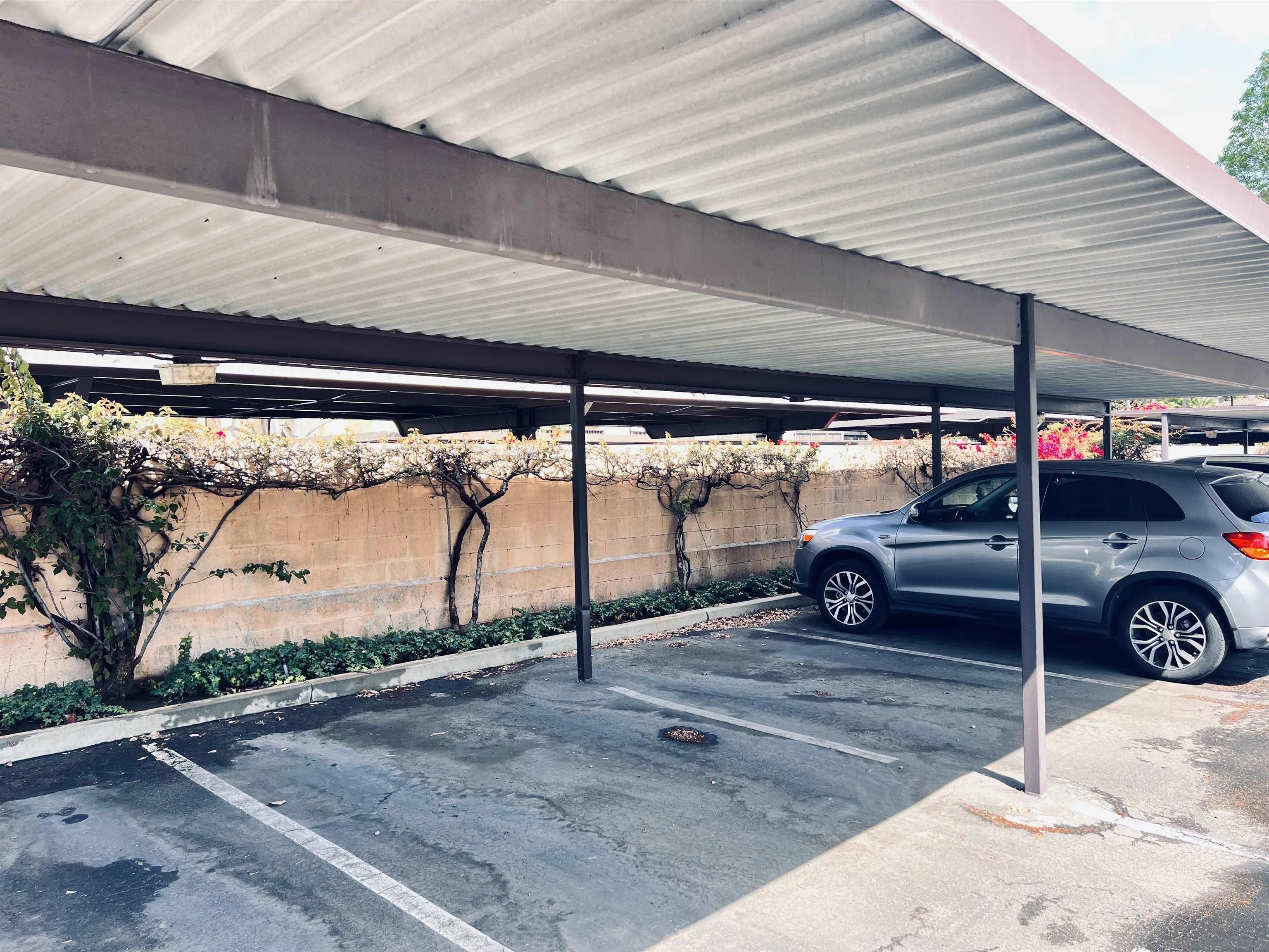 Photo #13: 260009749 Listing: Photo #13