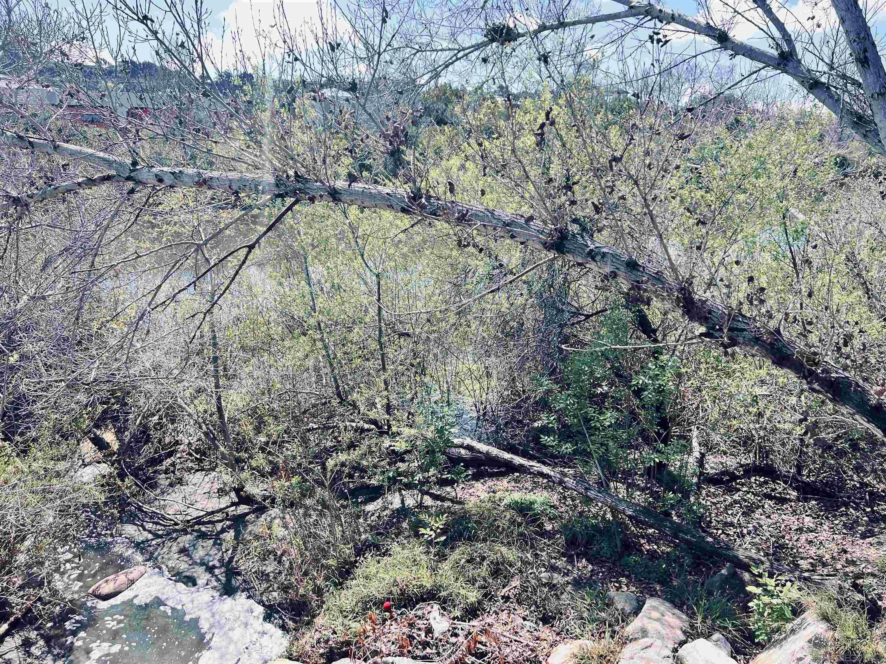 Photo #16: 260009749 Listing: Photo #16