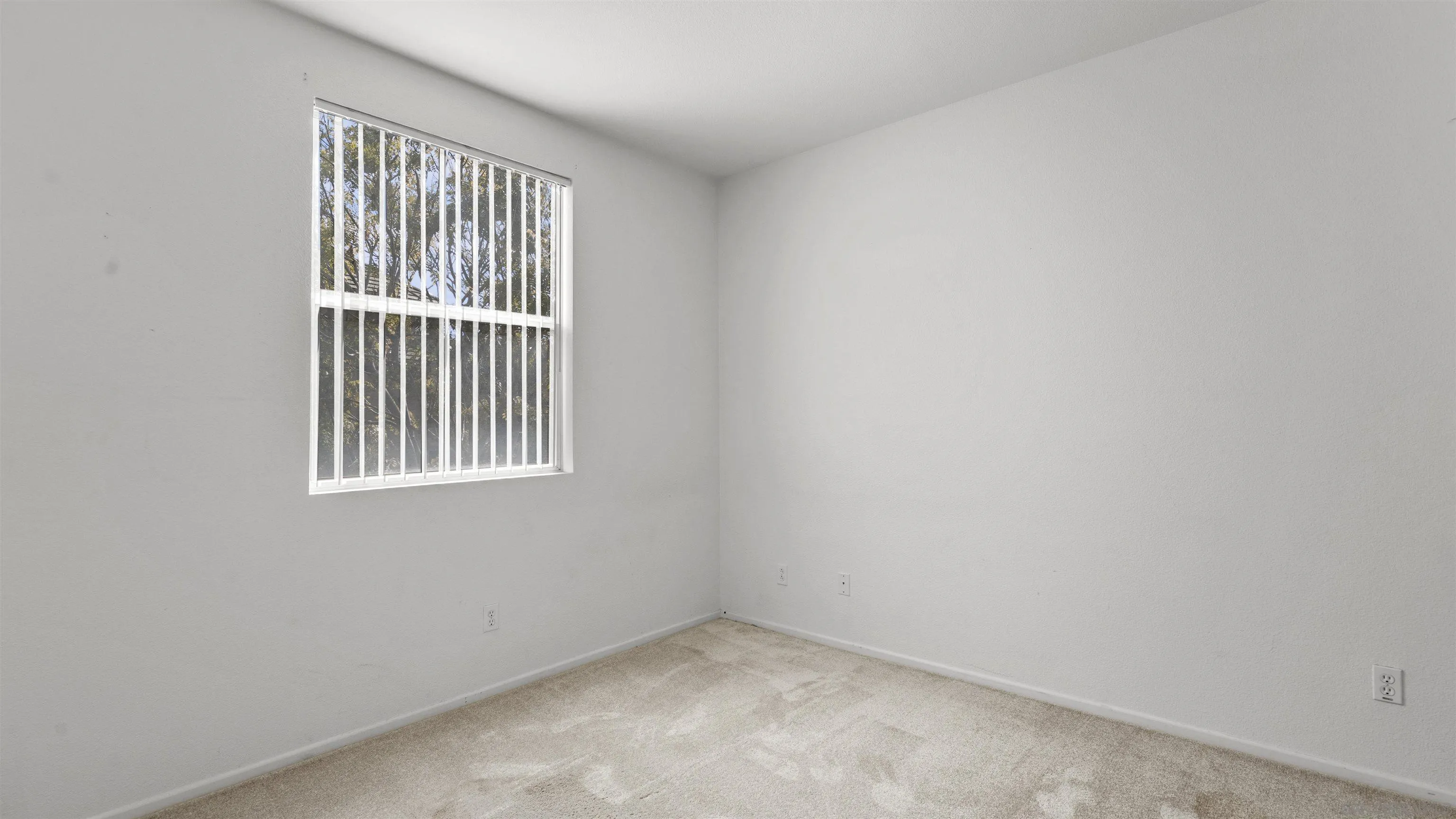 Photo #32: 260009761 Listing: Photo #32