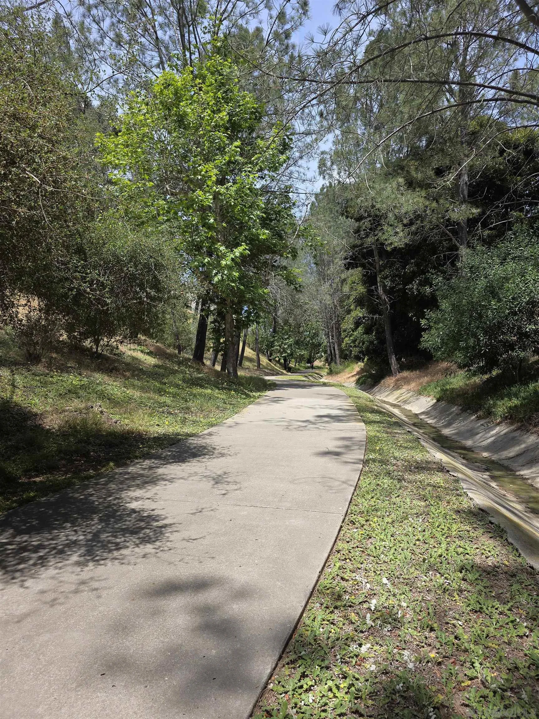 Photo #34: 260009863 Listing: Photo #34