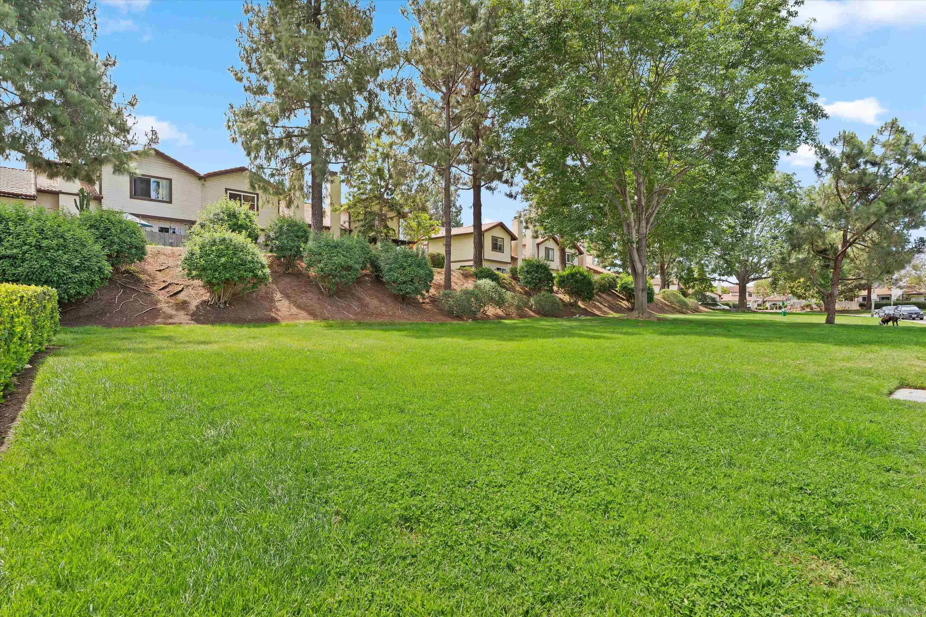 Photo #29: 260009887 Listing: Photo #29