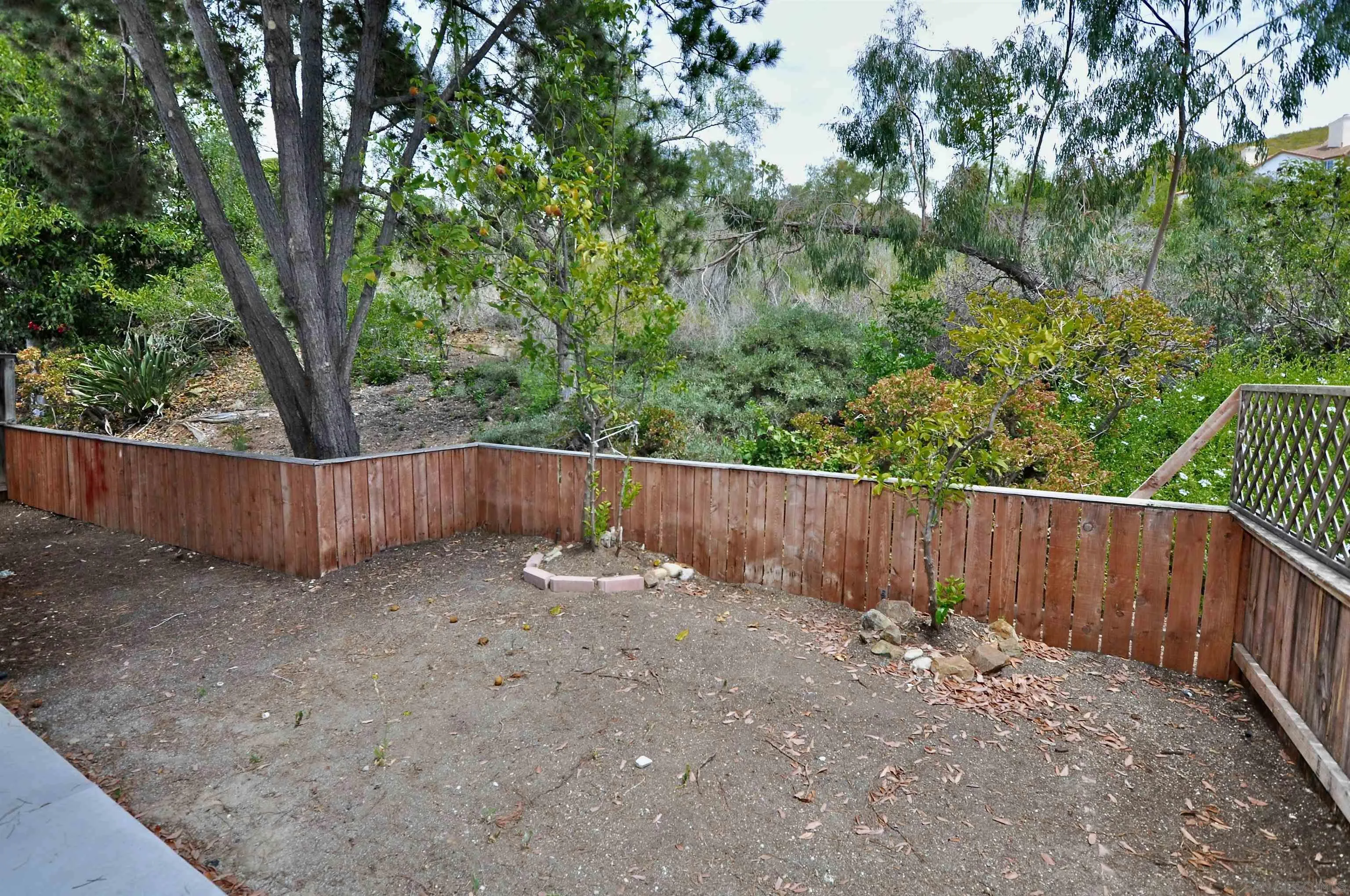 Photo #26: 260009900 Listing: Photo #26