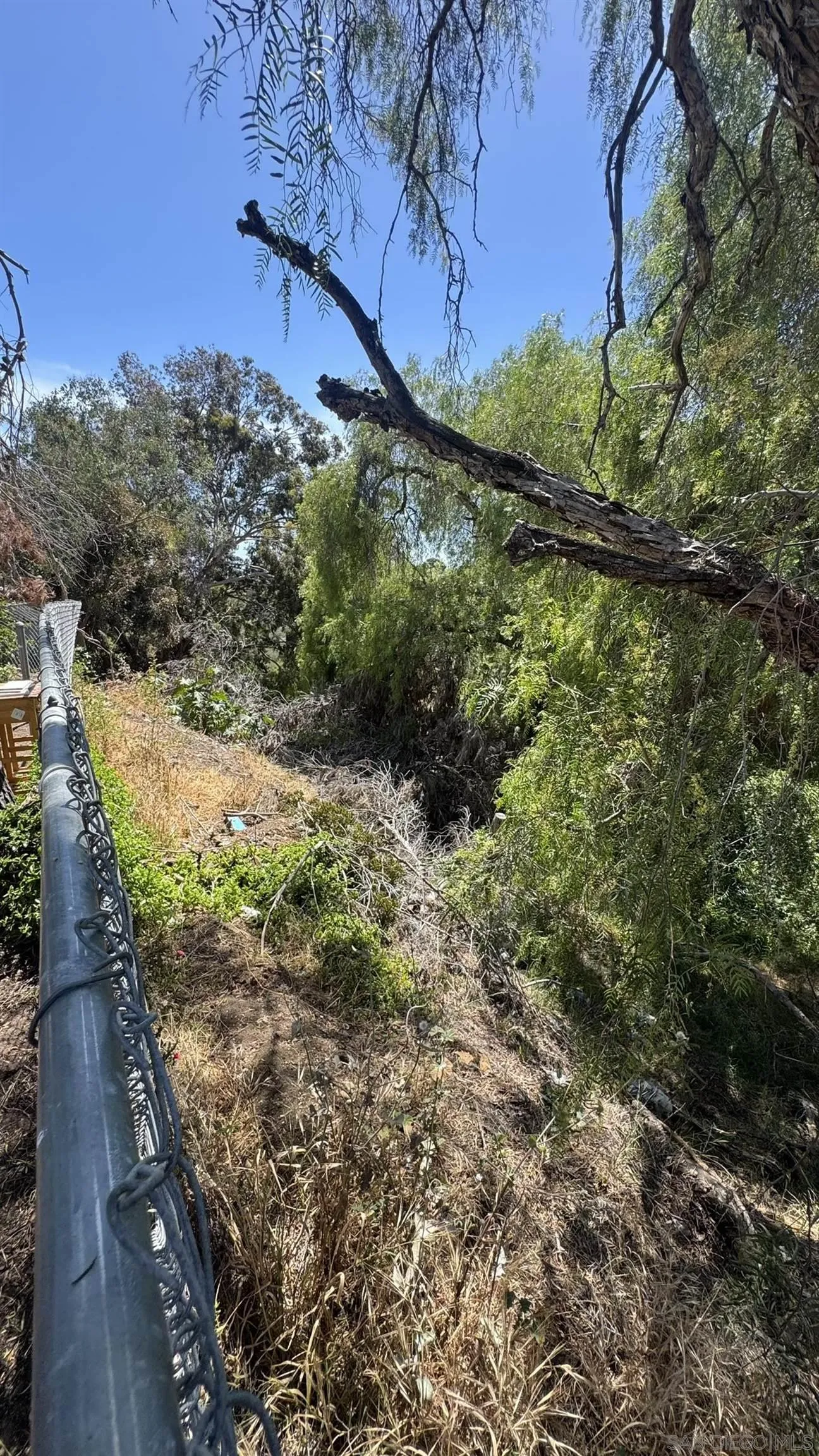 3006 Chamoune, San Diego, CA, 92105