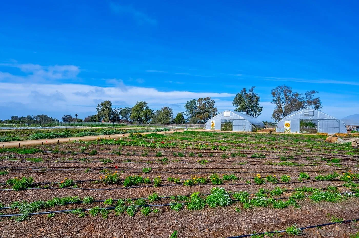 Photo #50: 260010006 Listing: Photo #50