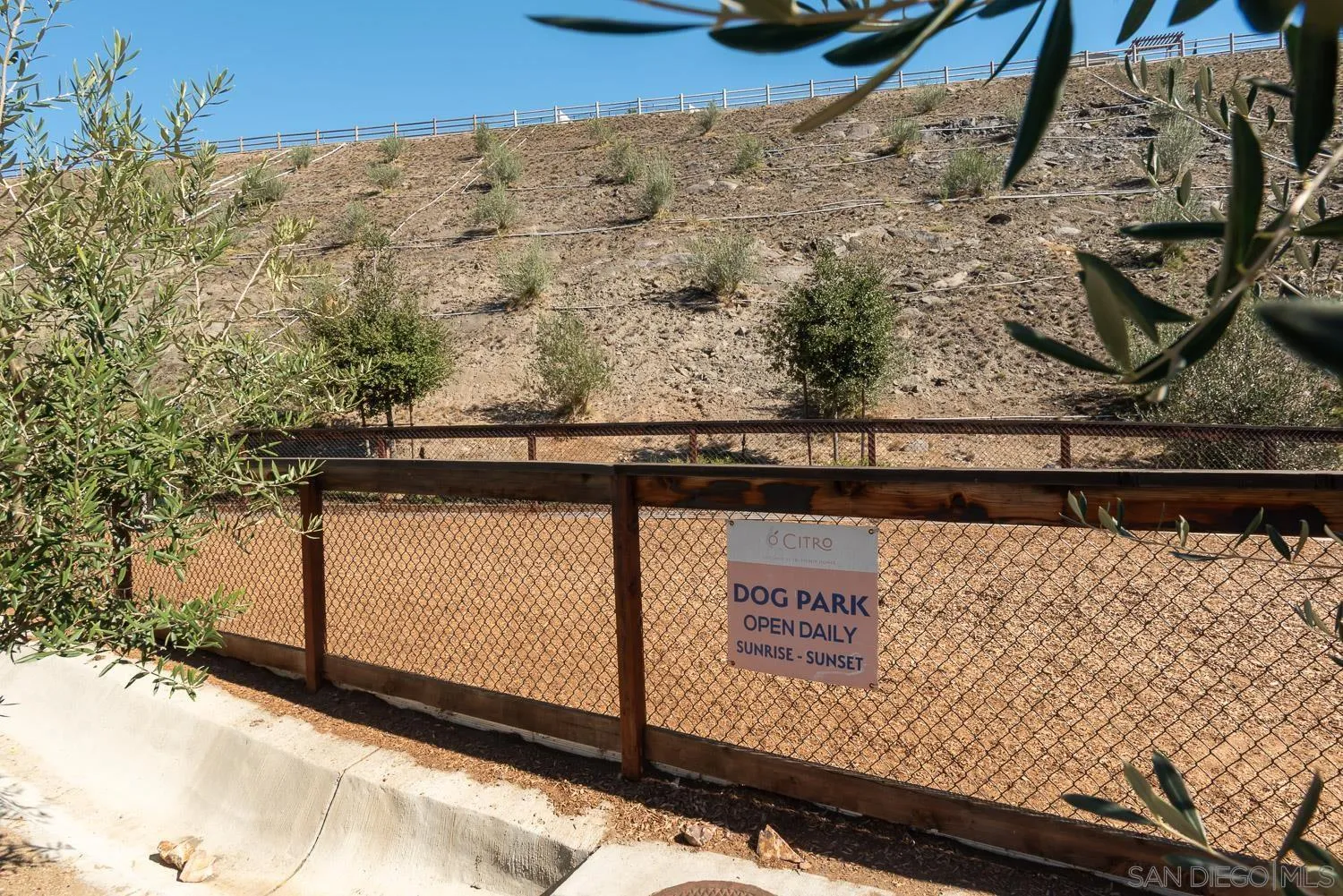 Photo #28: 260010011 Listing: Photo #28