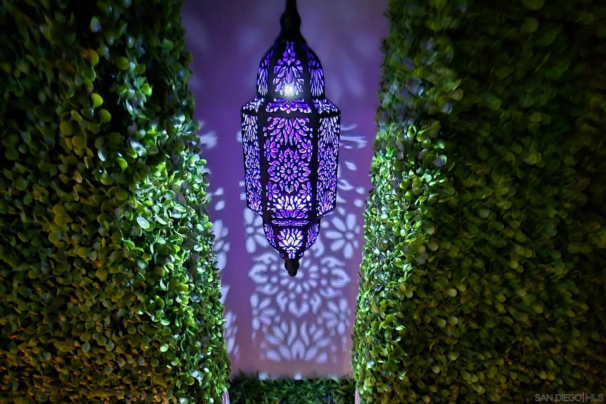 Photo #27: 260010044 Listing: Photo #27