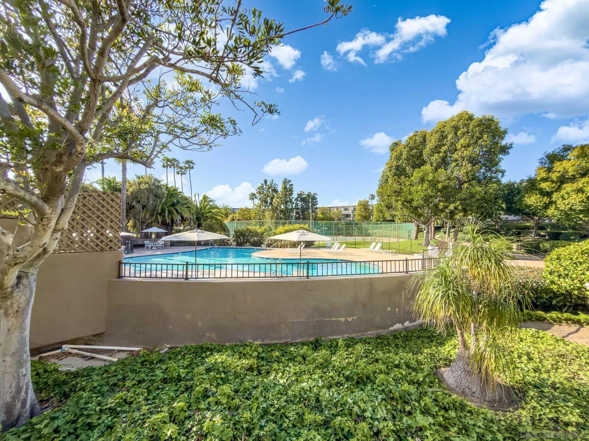 Photo #36: 260010241 Listing: Photo #36