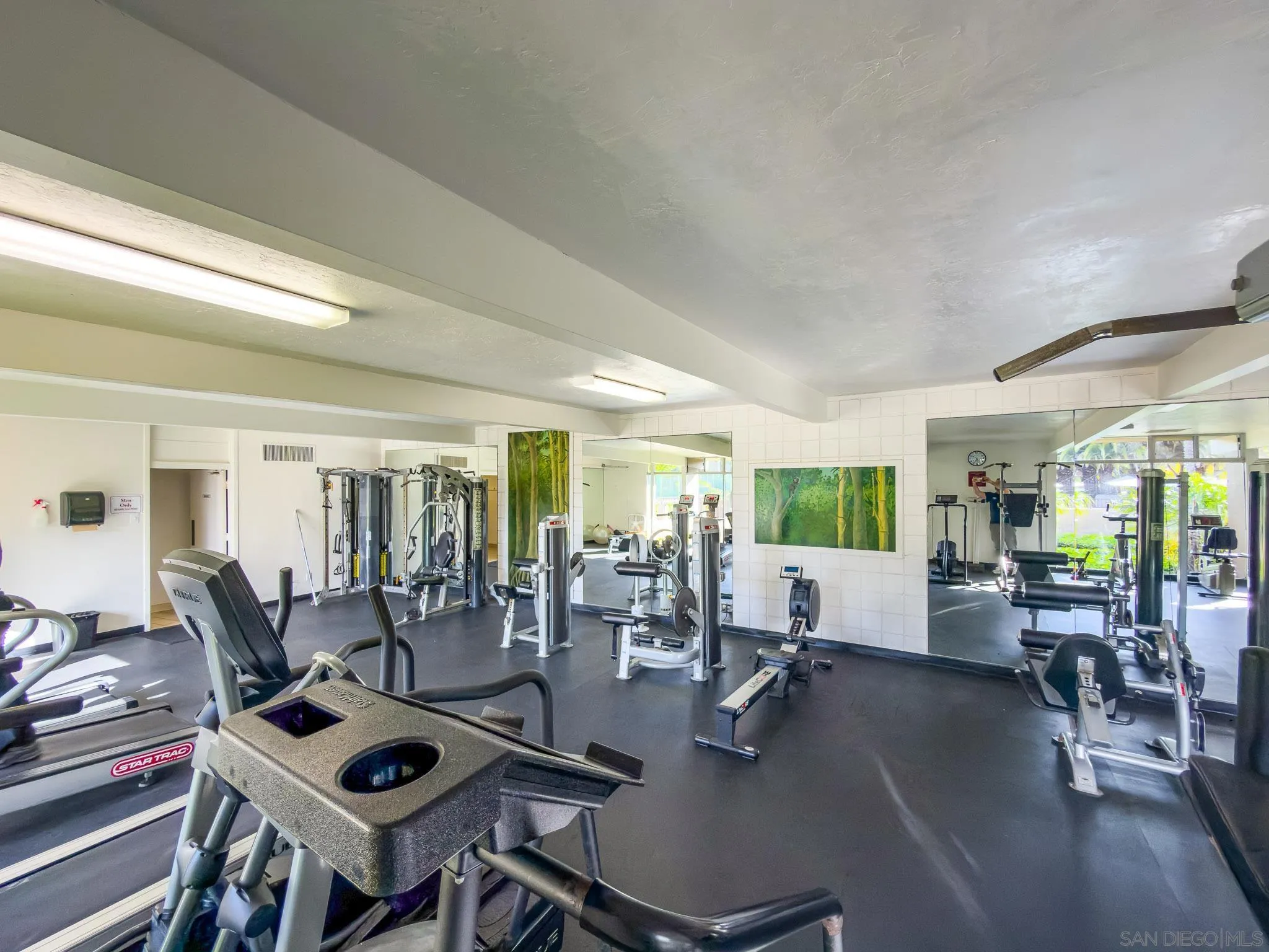 Photo #41: 260010241 Listing: Photo #41