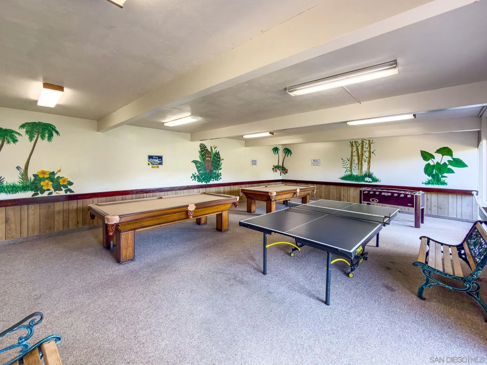 Photo #38: 260010241 Listing: Photo #38