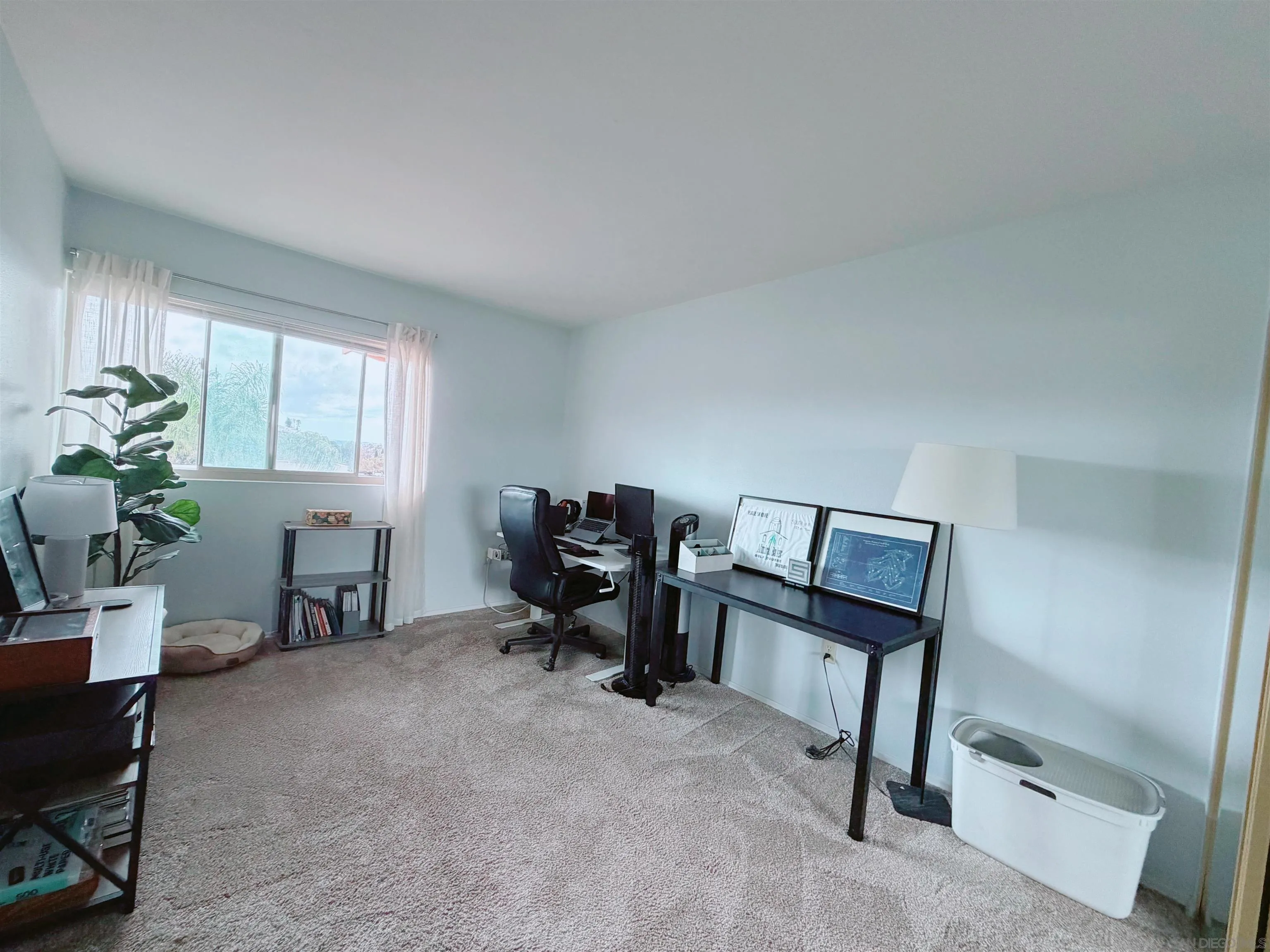 Photo #9: 260010348 Listing: Photo #9