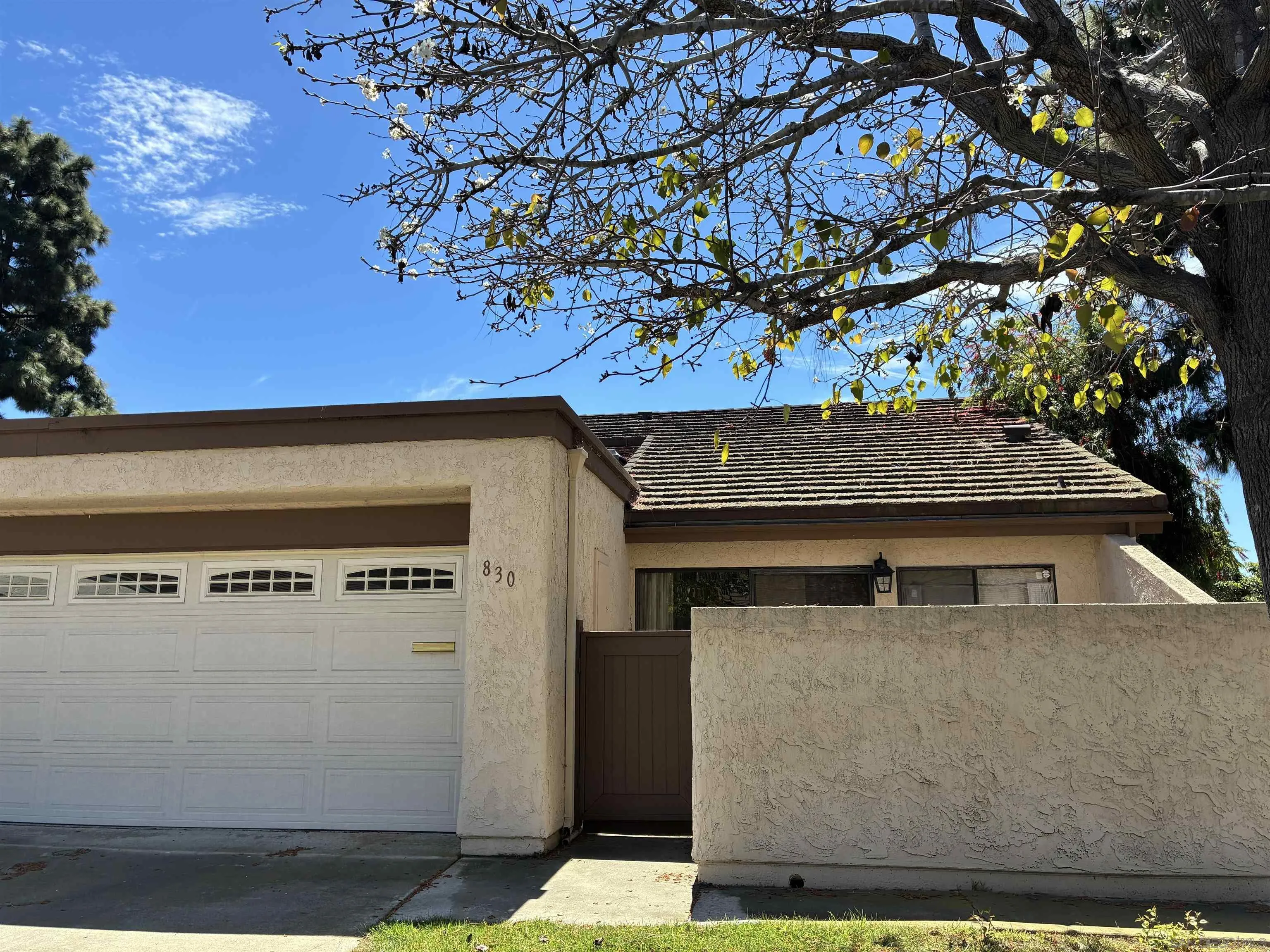 Photo #2: 260010417 Listing: Photo #2