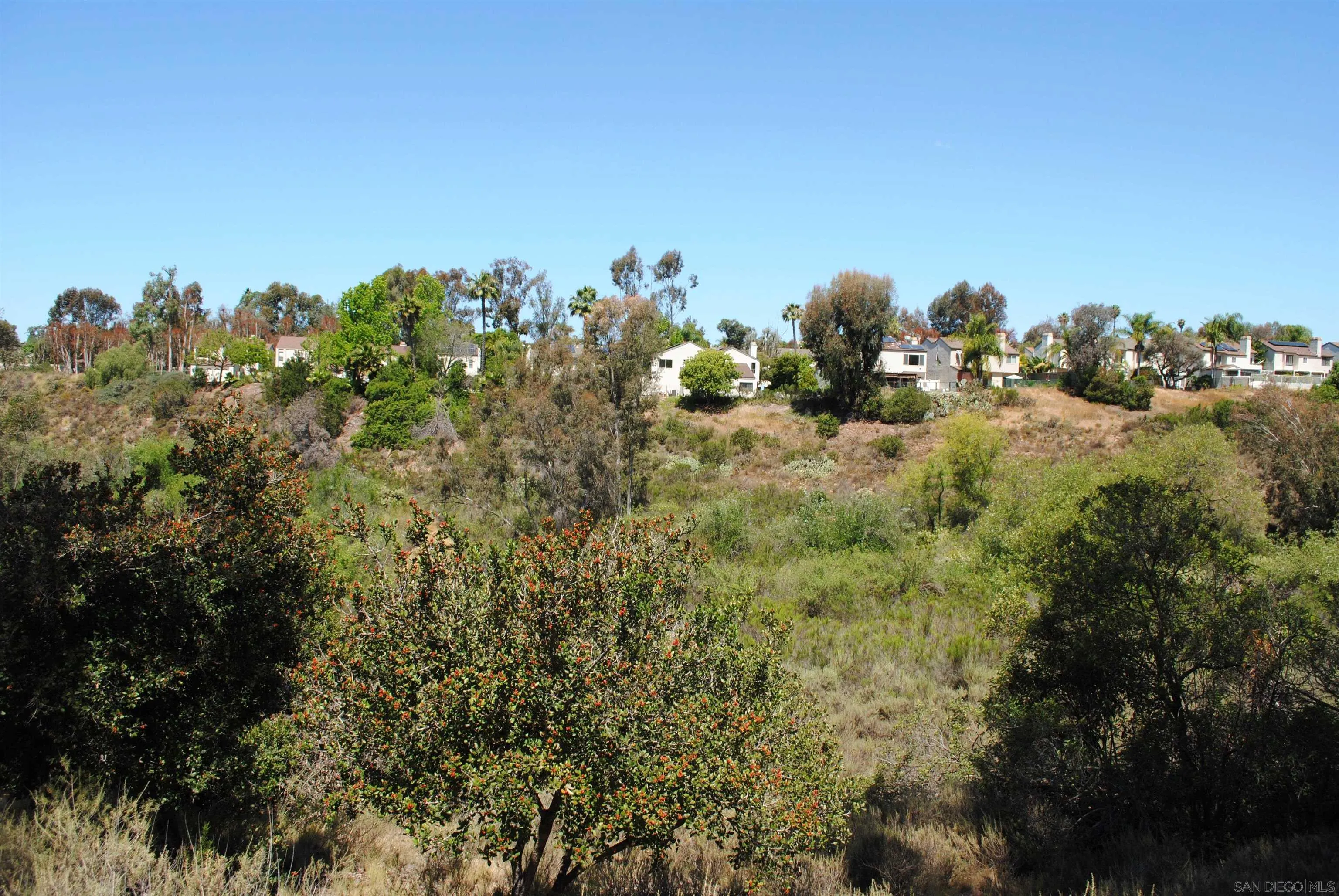 Photo #34: 260010909 Listing: Photo #34