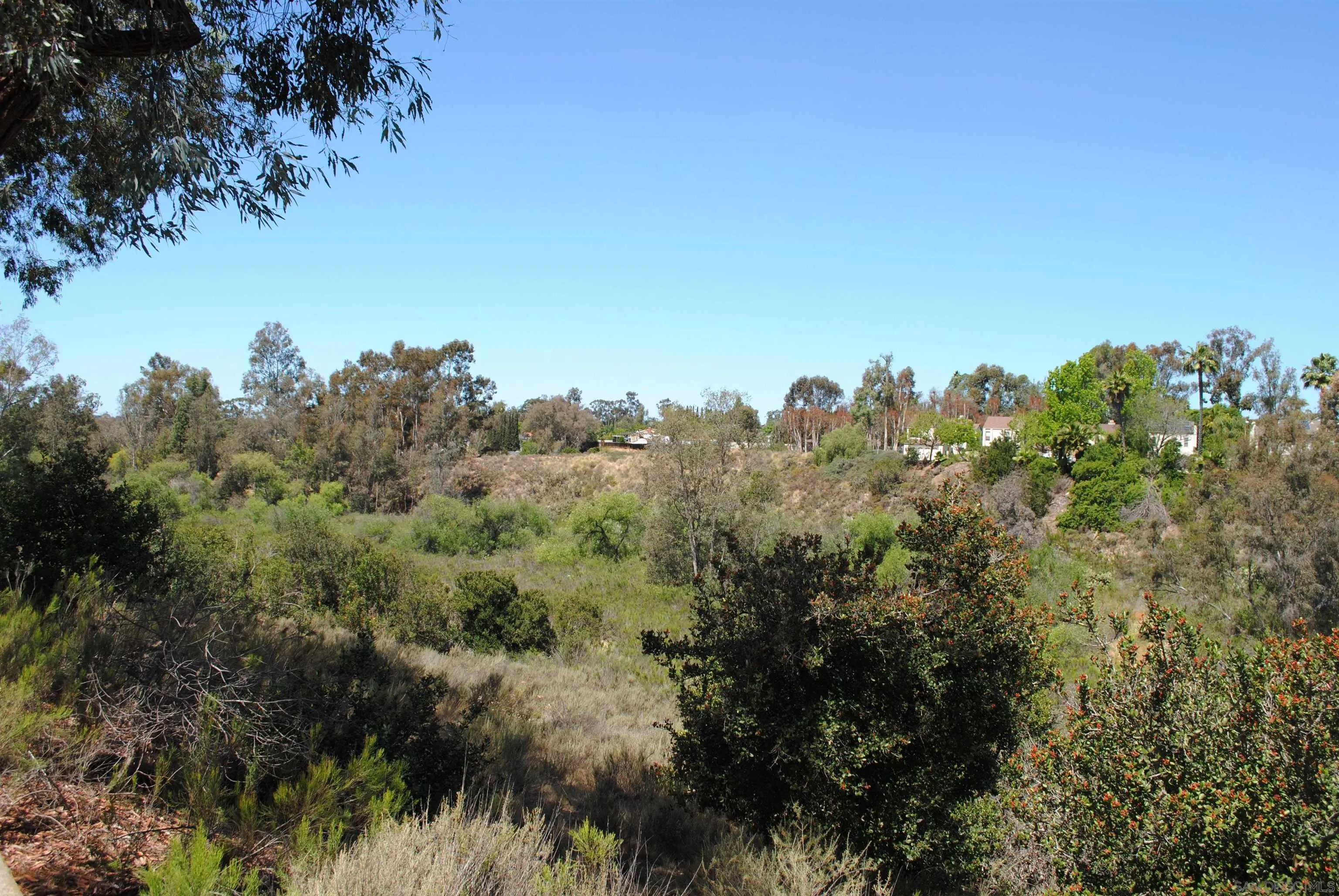 Photo #35: 260010909 Listing: Photo #35
