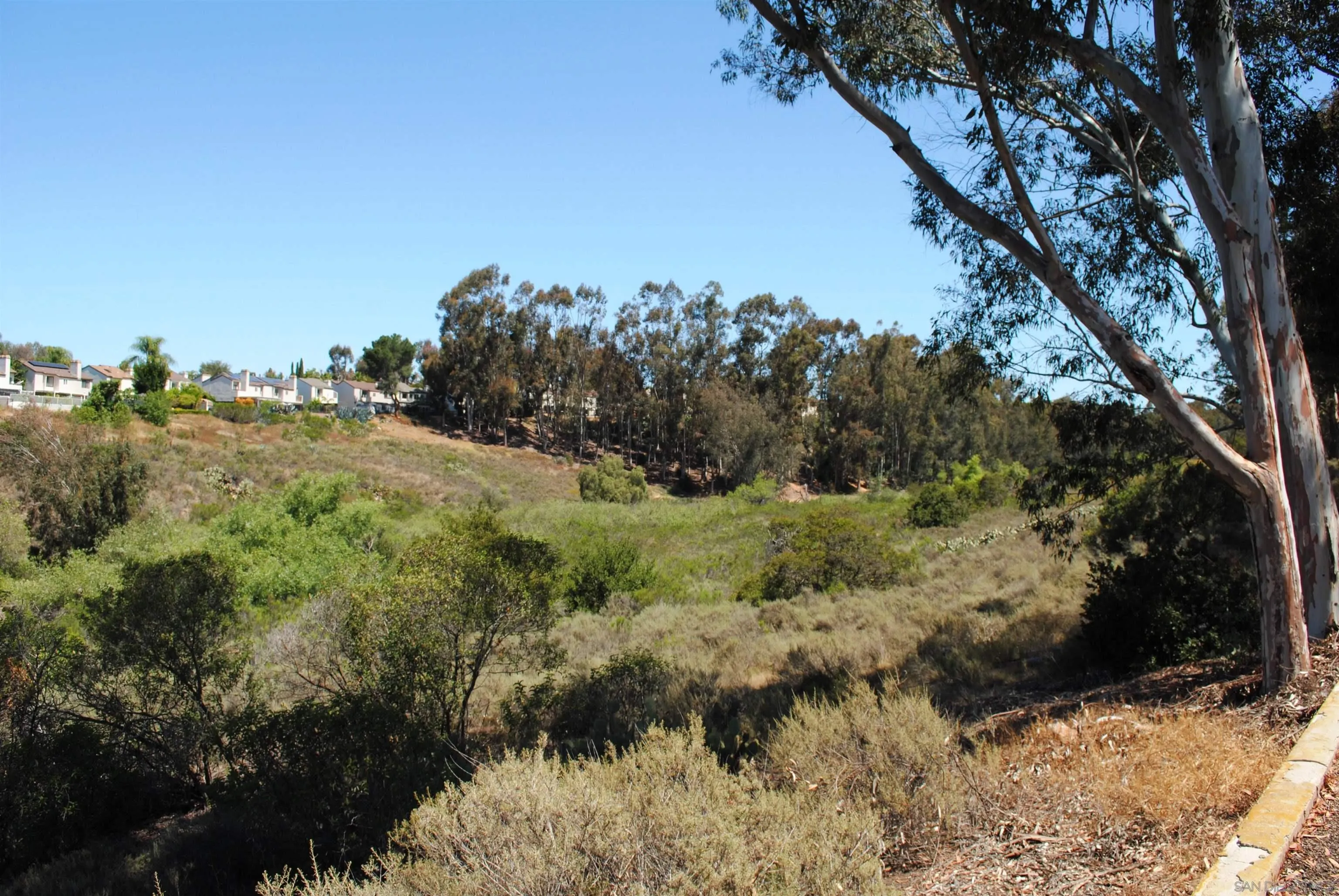 Photo #1: 260010909 Listing: Photo #1
