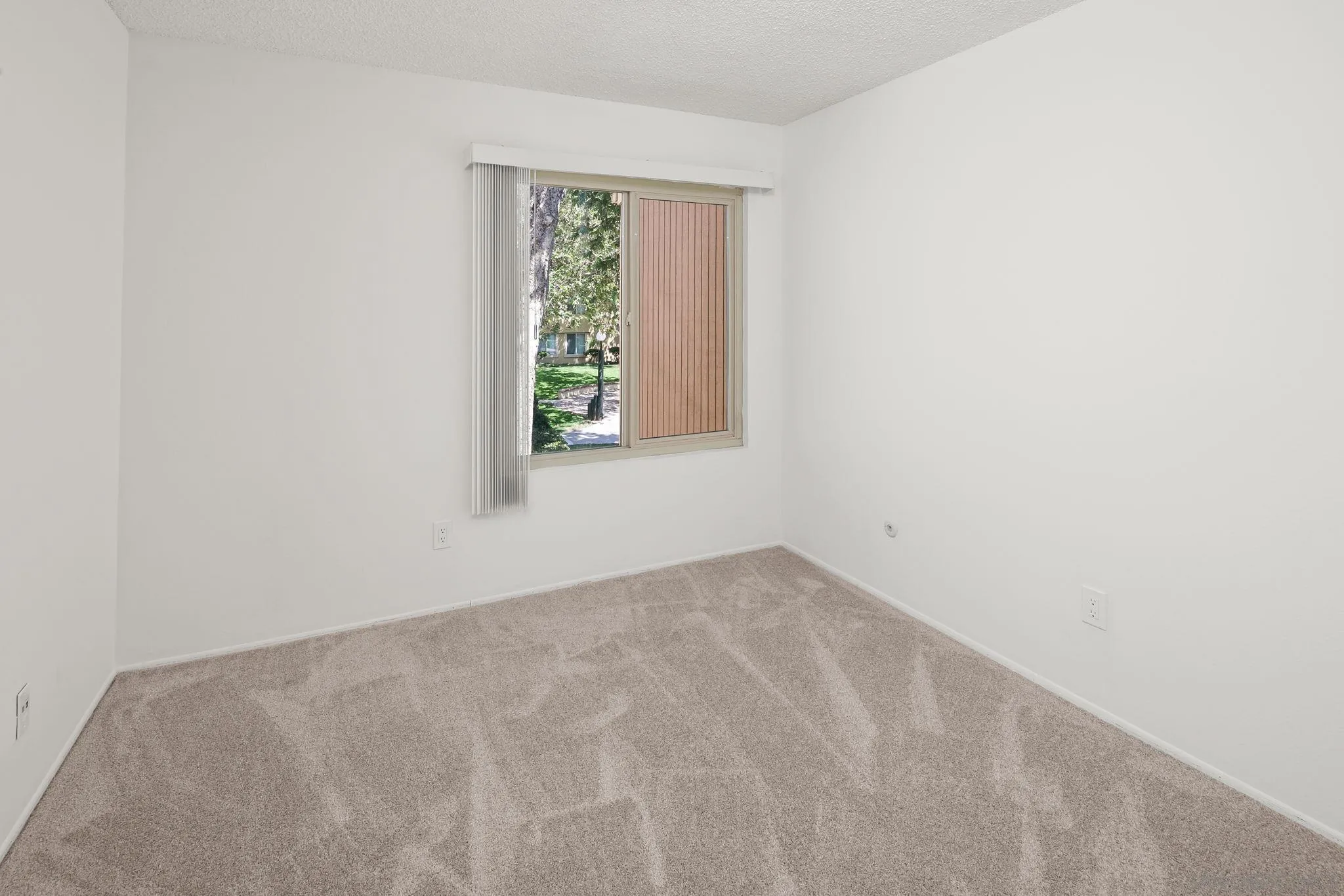 Photo #18: 260010965 Listing: Photo #18