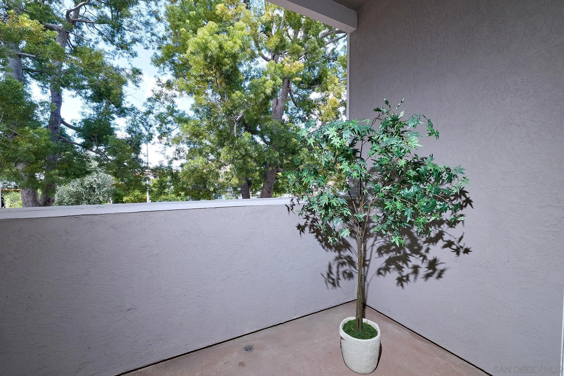 Photo #13: 260010994 Listing: Photo #13
