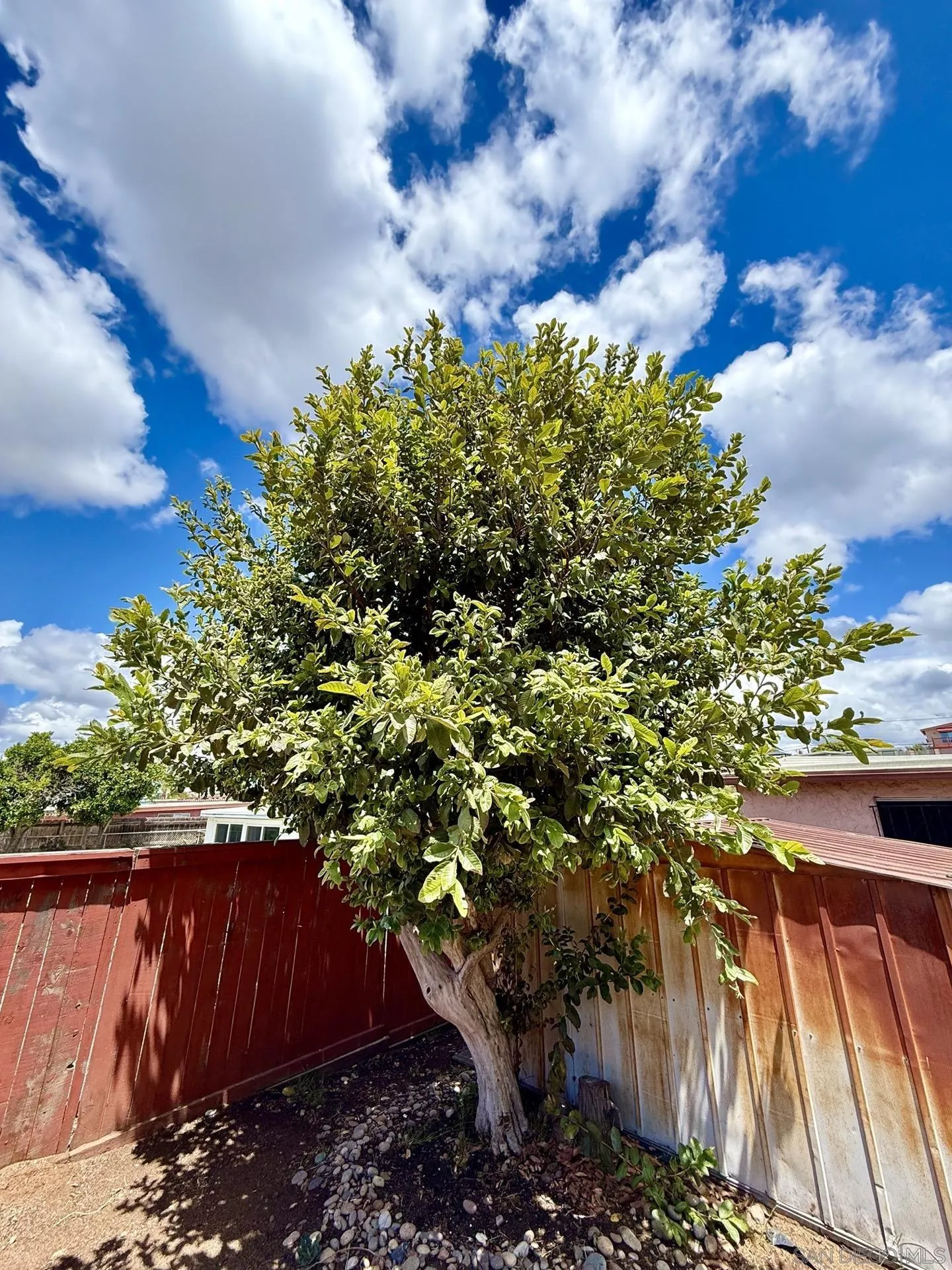 https://cdn.realtyfeed.com/cdn/127/260011043/e265124413cec9d3ddb5a0c3112fb66f.webp