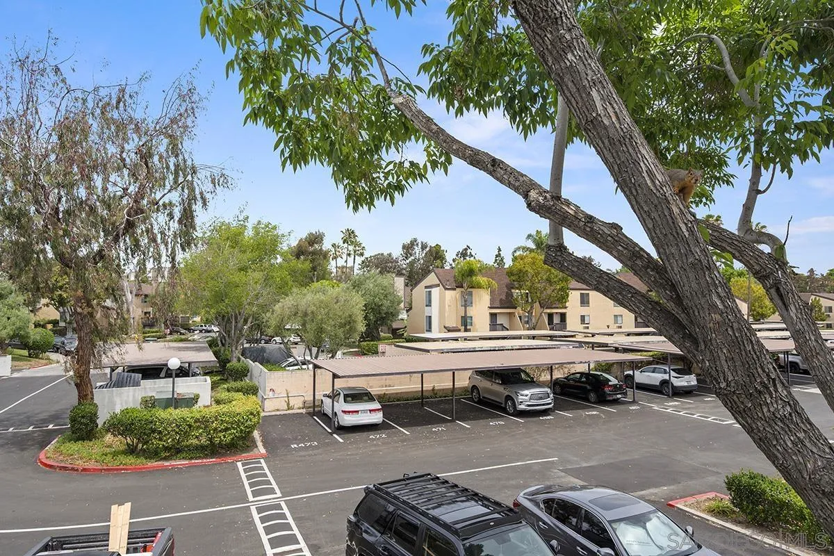 Photo #11: 260011332 Listing: Photo #11