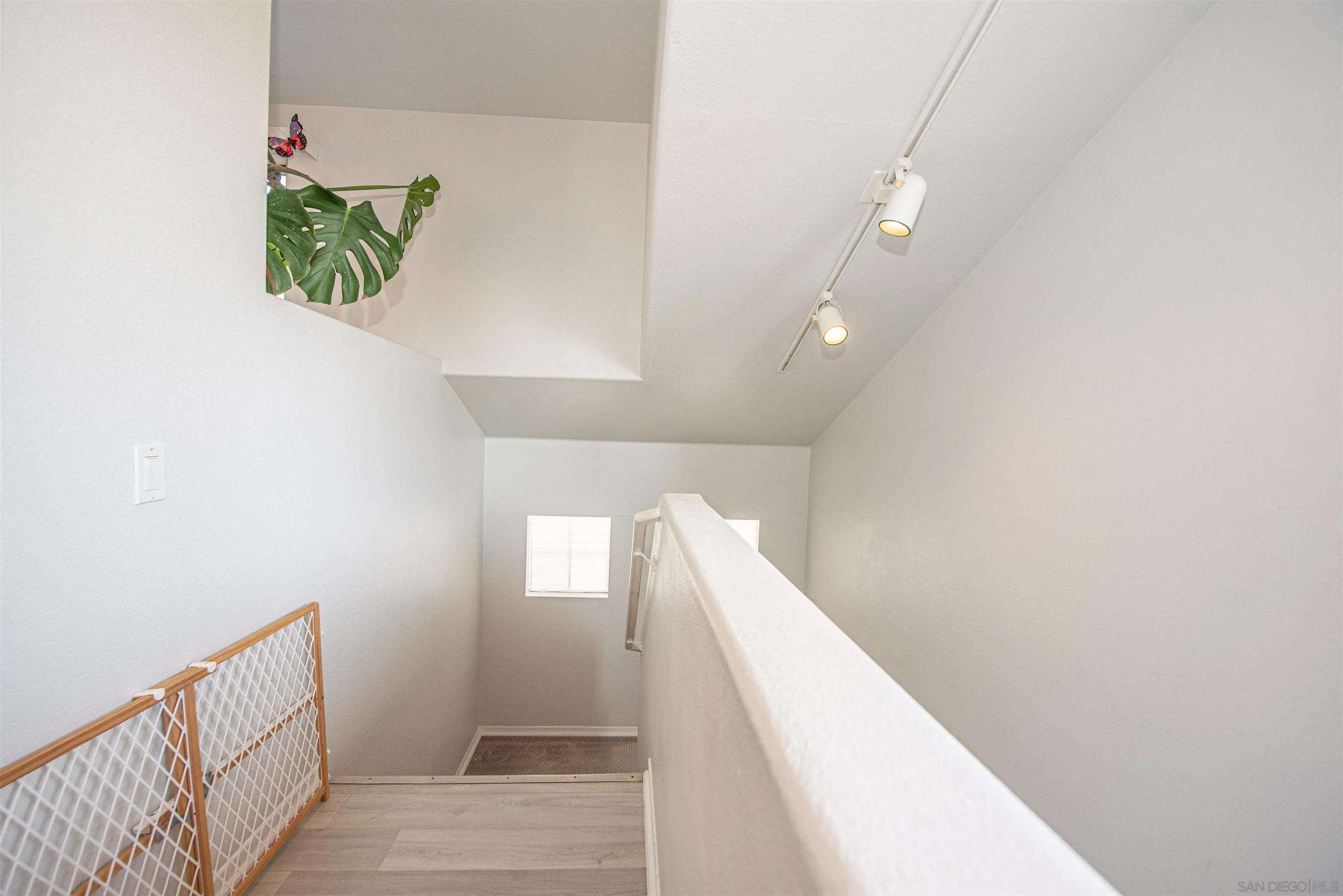 Photo #37: 260011427 Listing: Photo #37