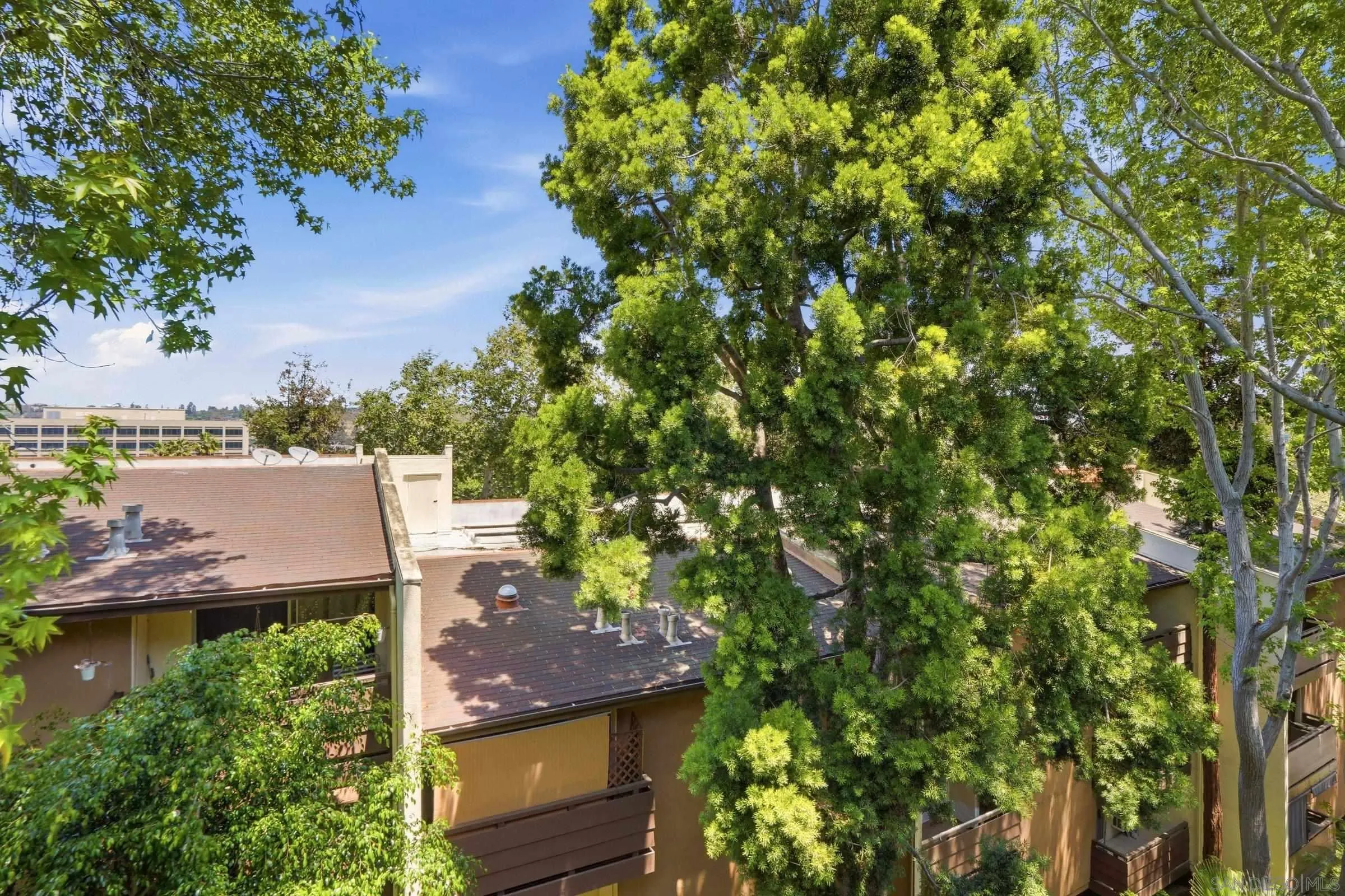Photo #17: 260011469 Listing: Photo #17