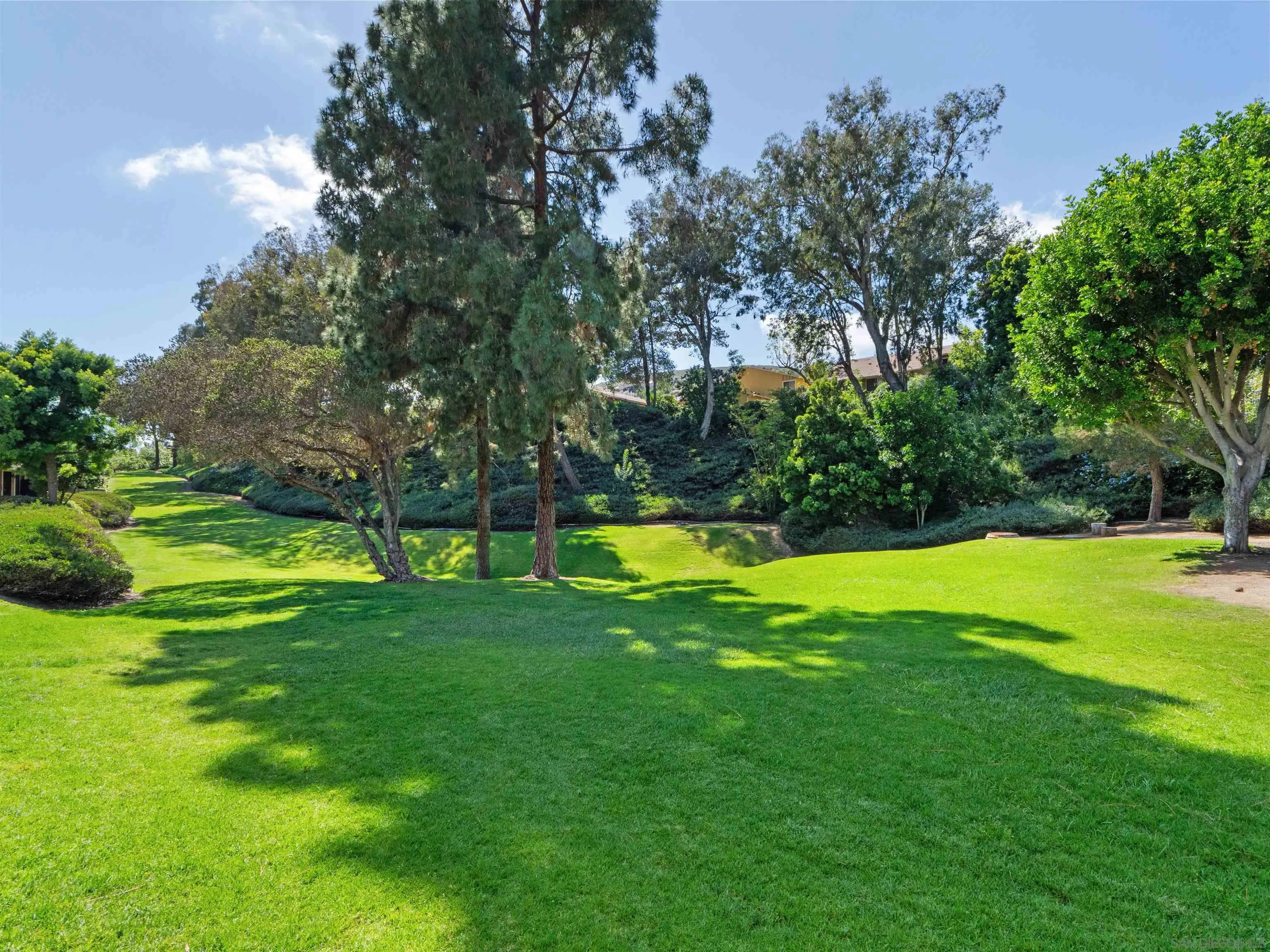 Photo #27: 260011539 Listing: Photo #27