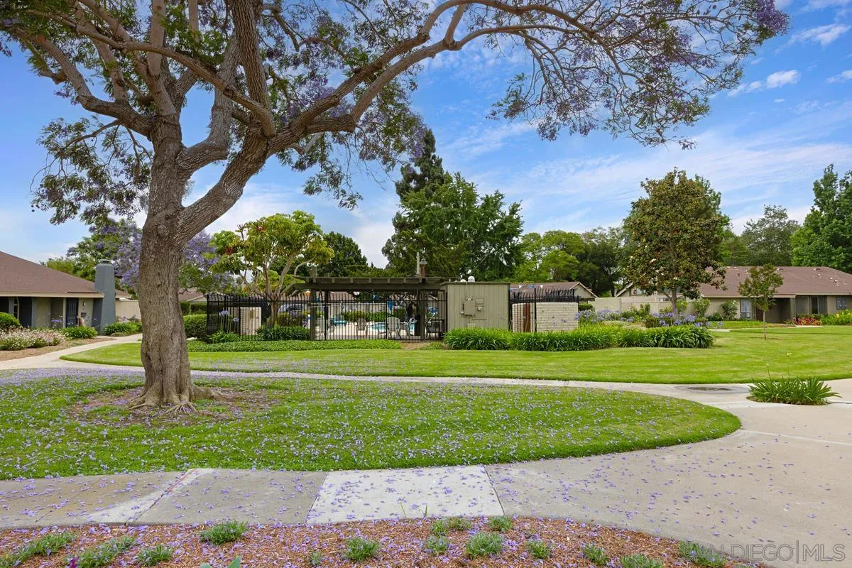 Photo #29: 260011614 Listing: Photo #29