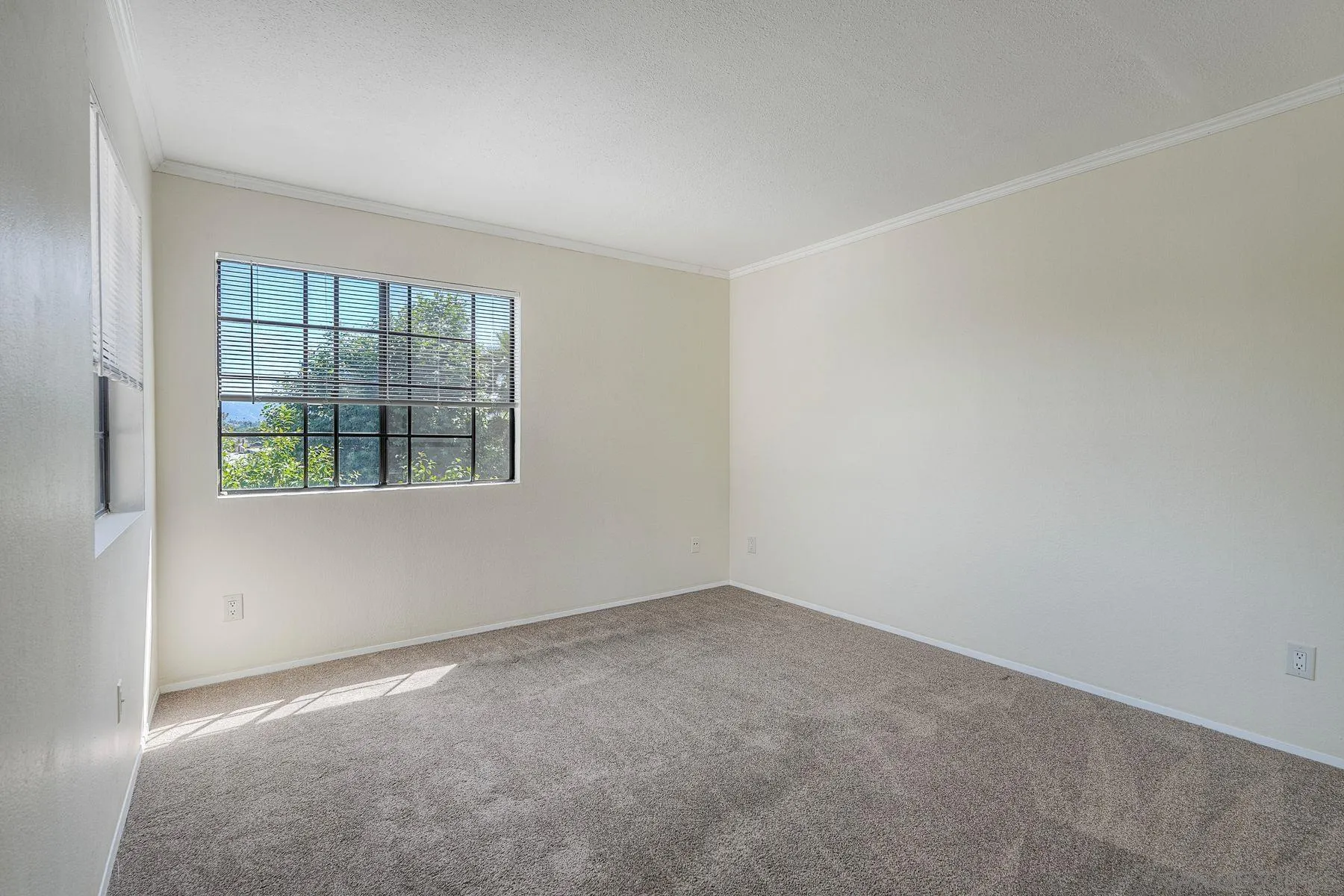 Photo #22: 260011796 Listing: Photo #22