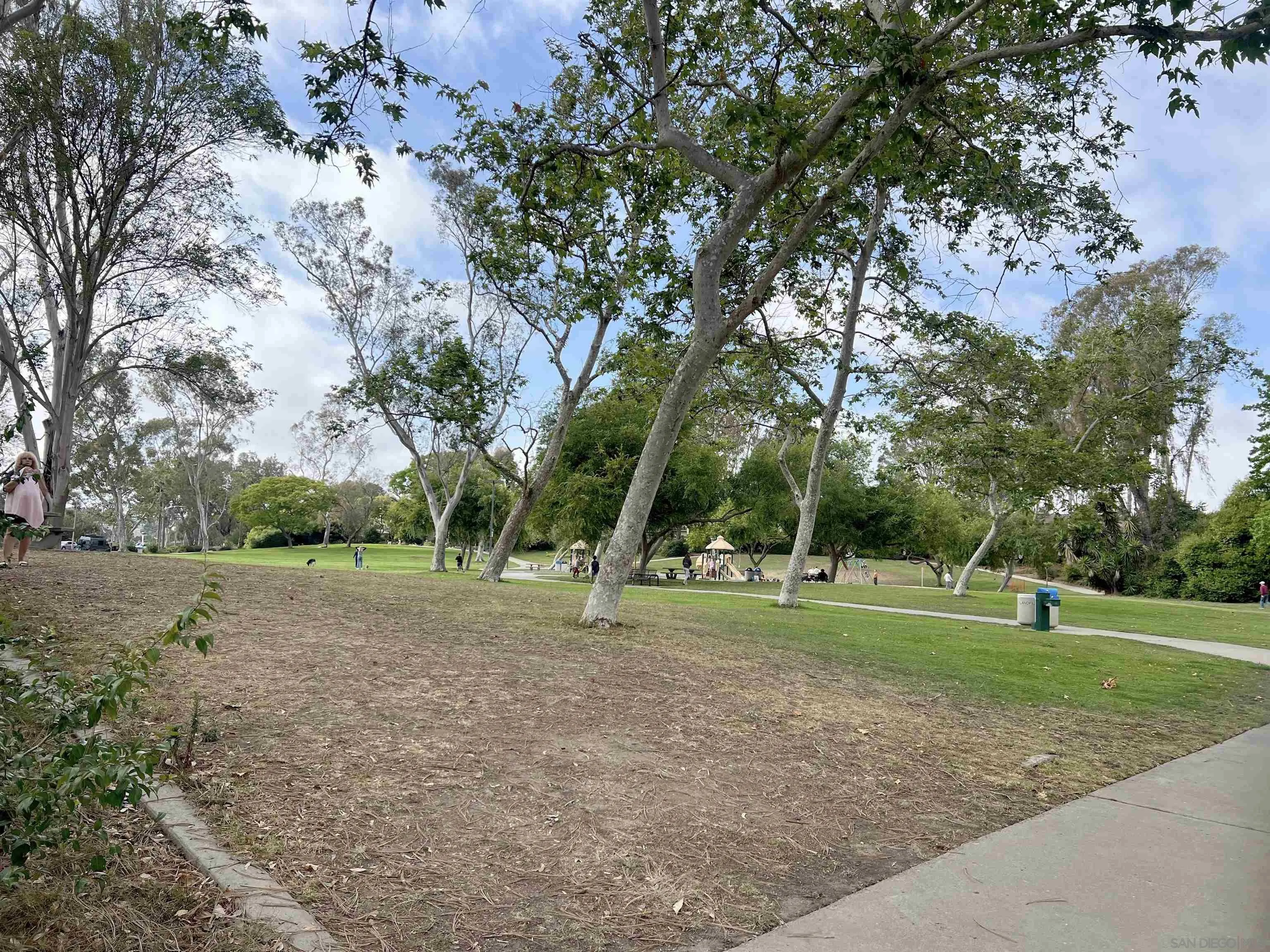 Photo #31: 260011922 Listing: Photo #31