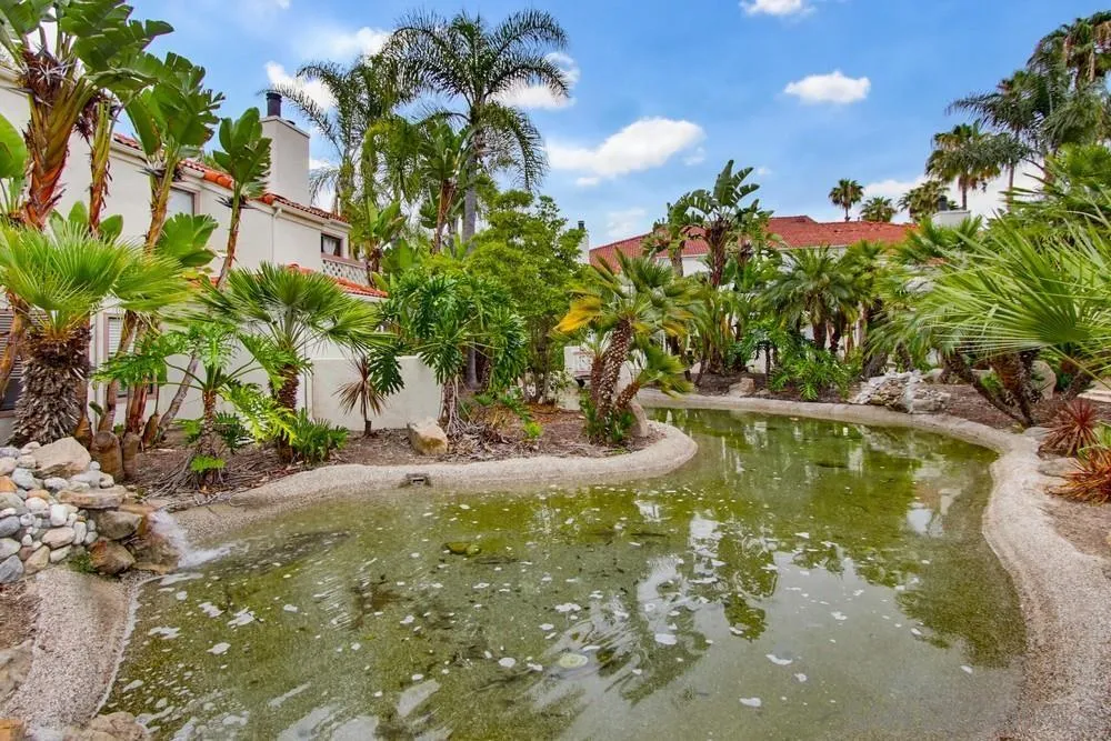 Photo #39: 260011932 Listing: Photo #39