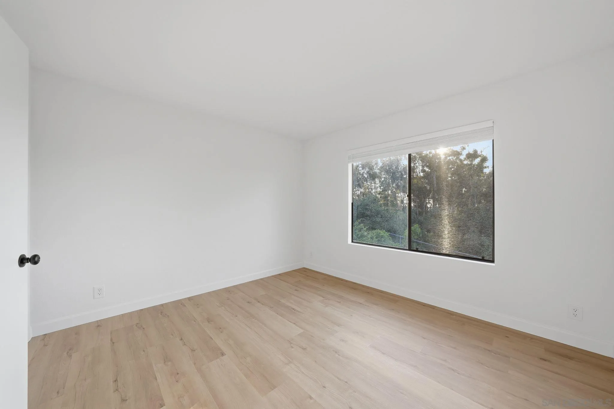 Photo #26: 260012157 Listing: Photo #26