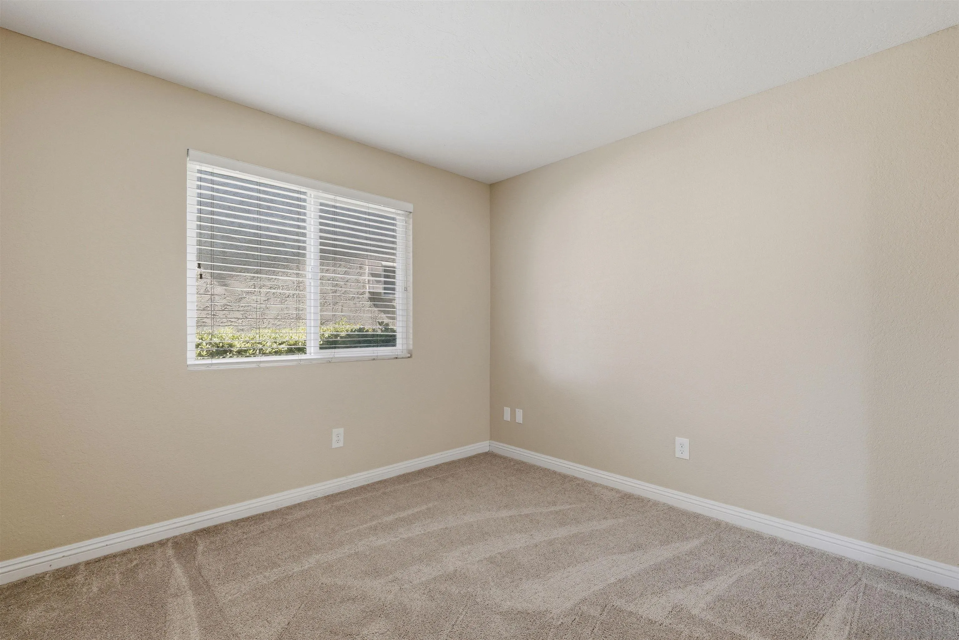 Photo #22: 260012206 Listing: Photo #22
