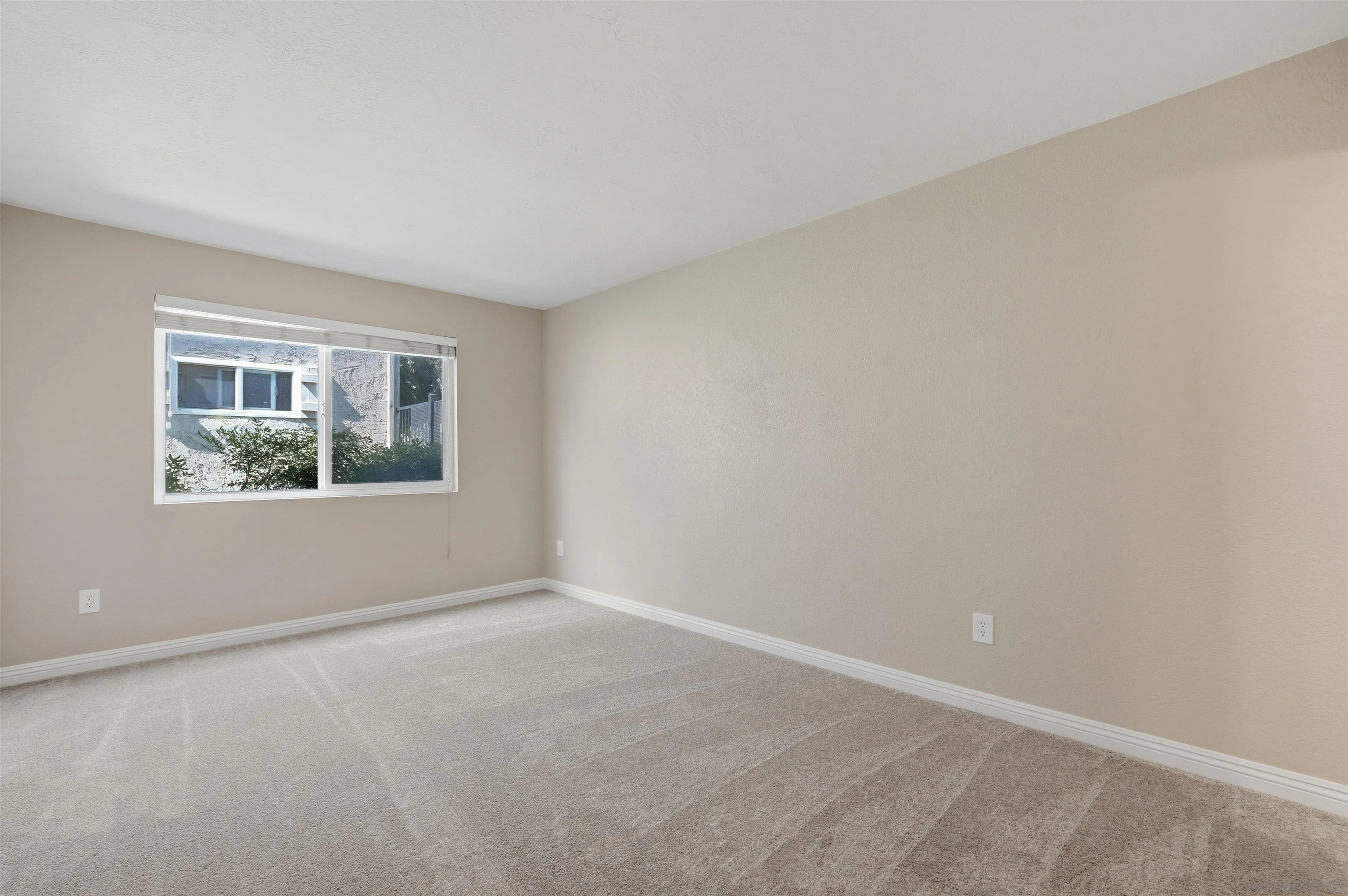 Photo #18: 260012206 Listing: Photo #18