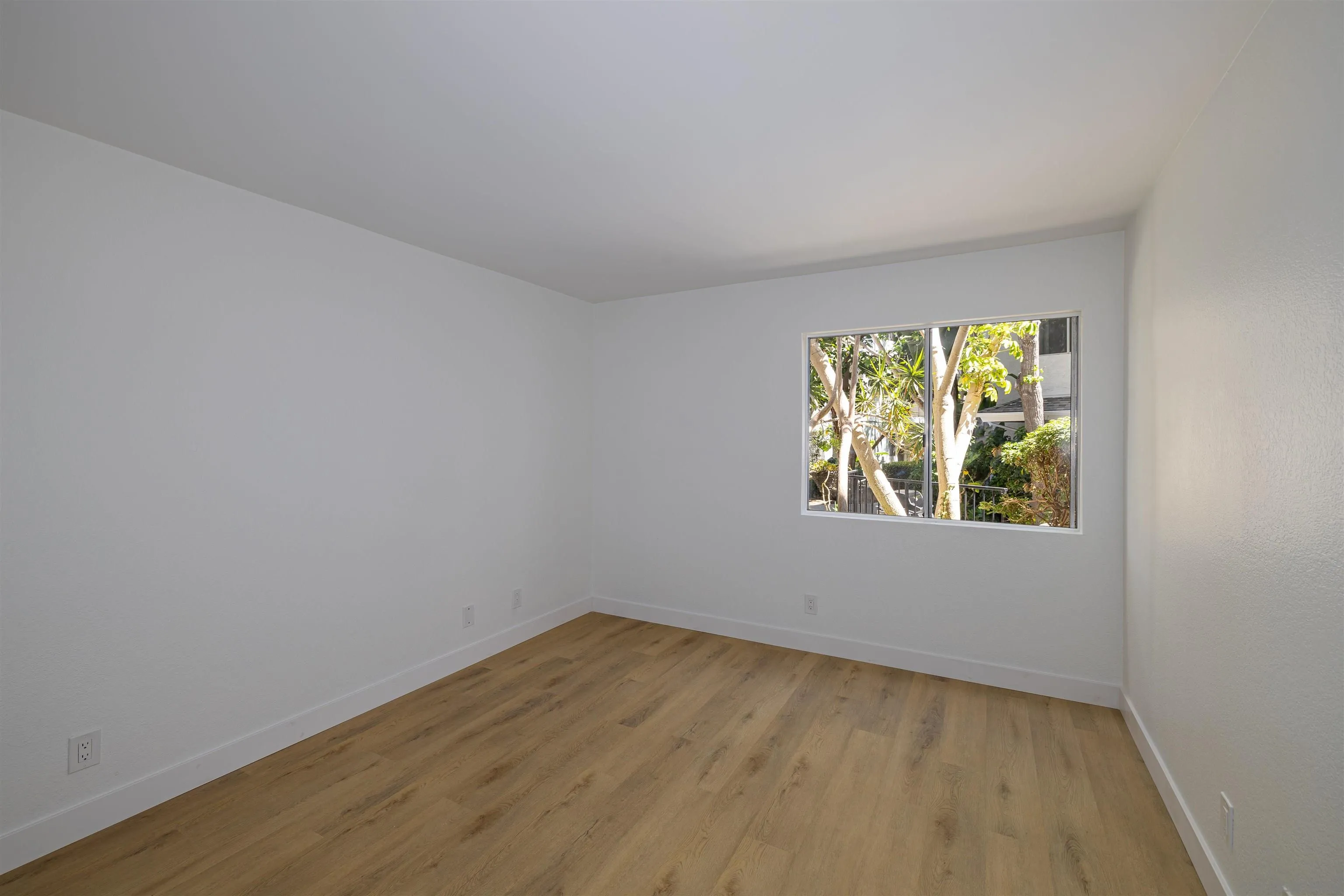 Photo #11: 260012215 Listing: Photo #11